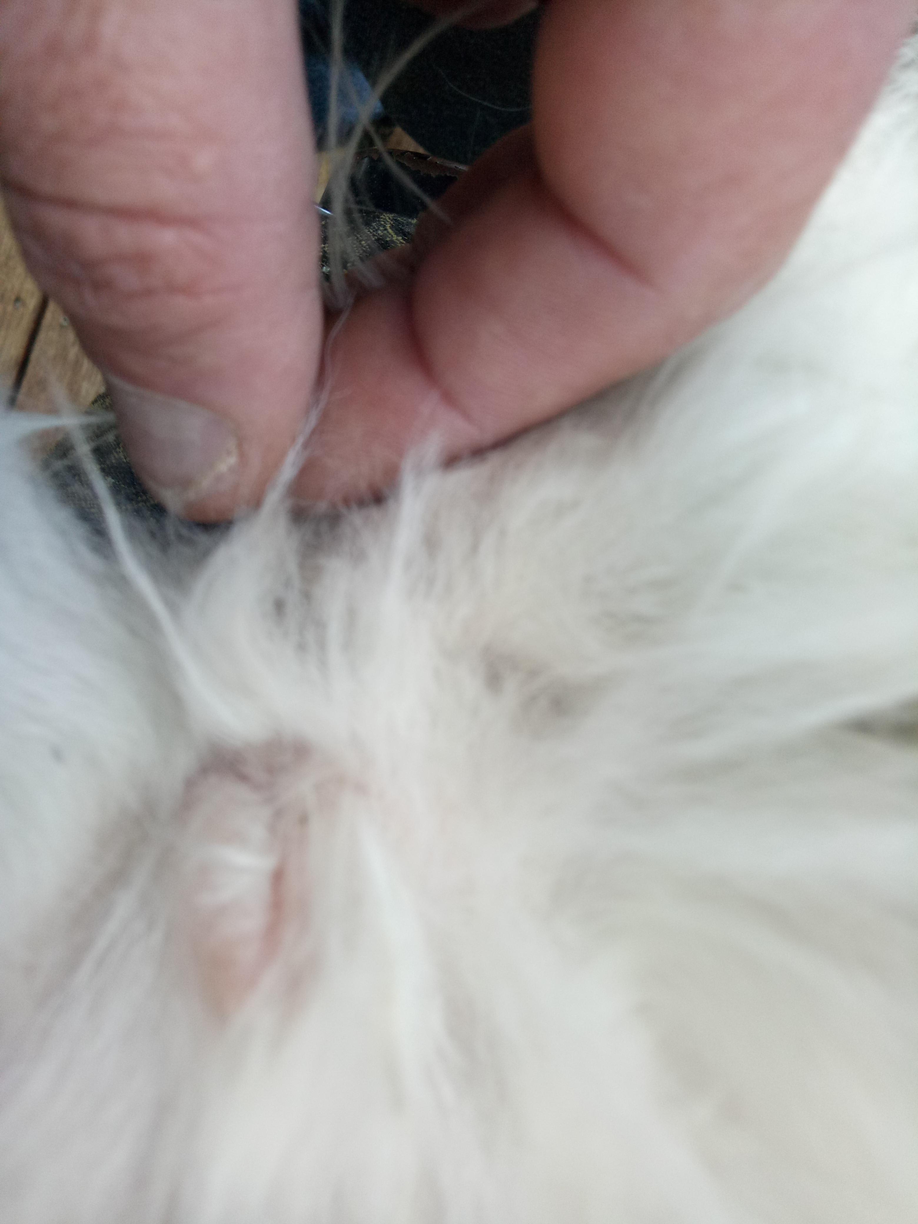 Question details sensitive content