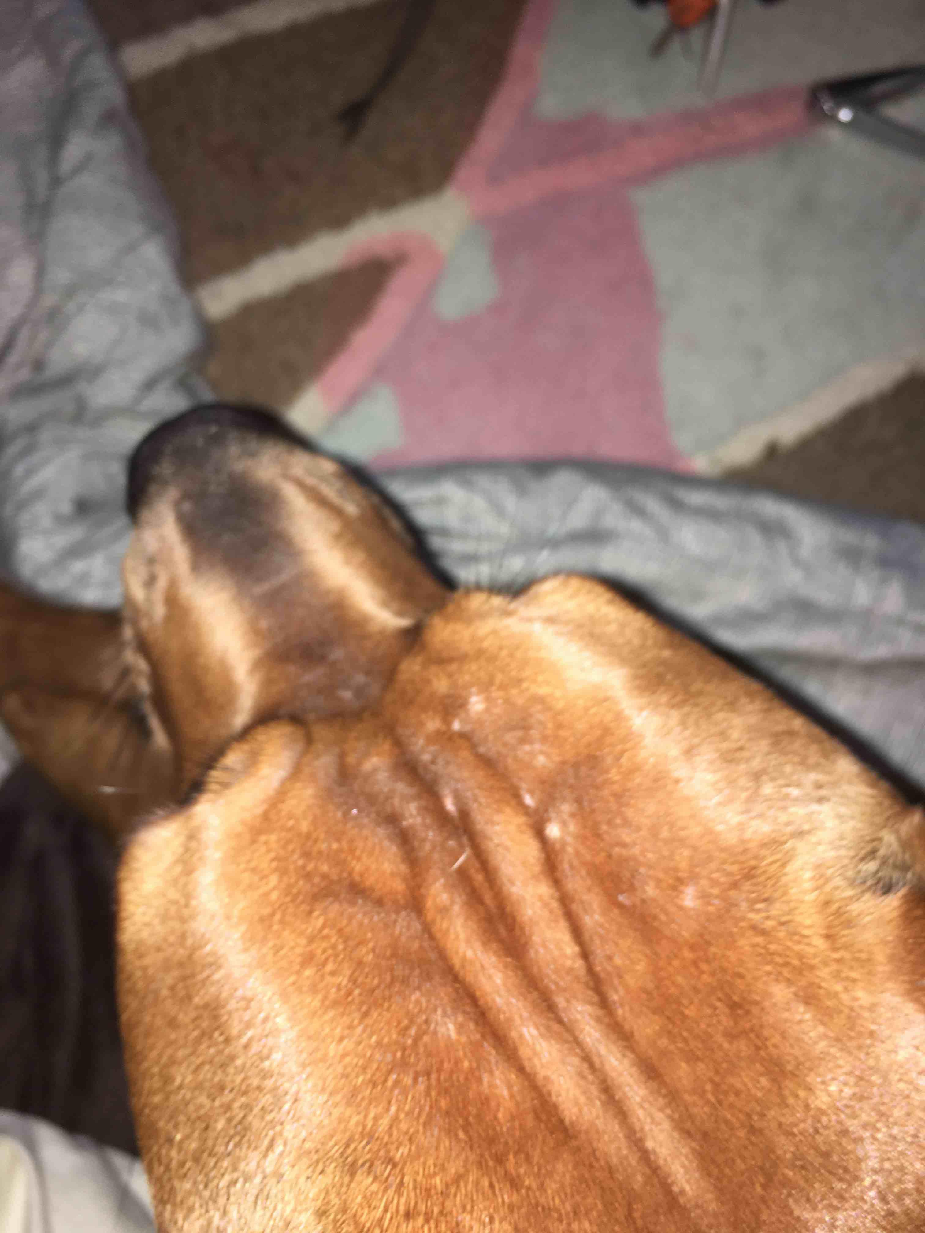 Question details sensitive content