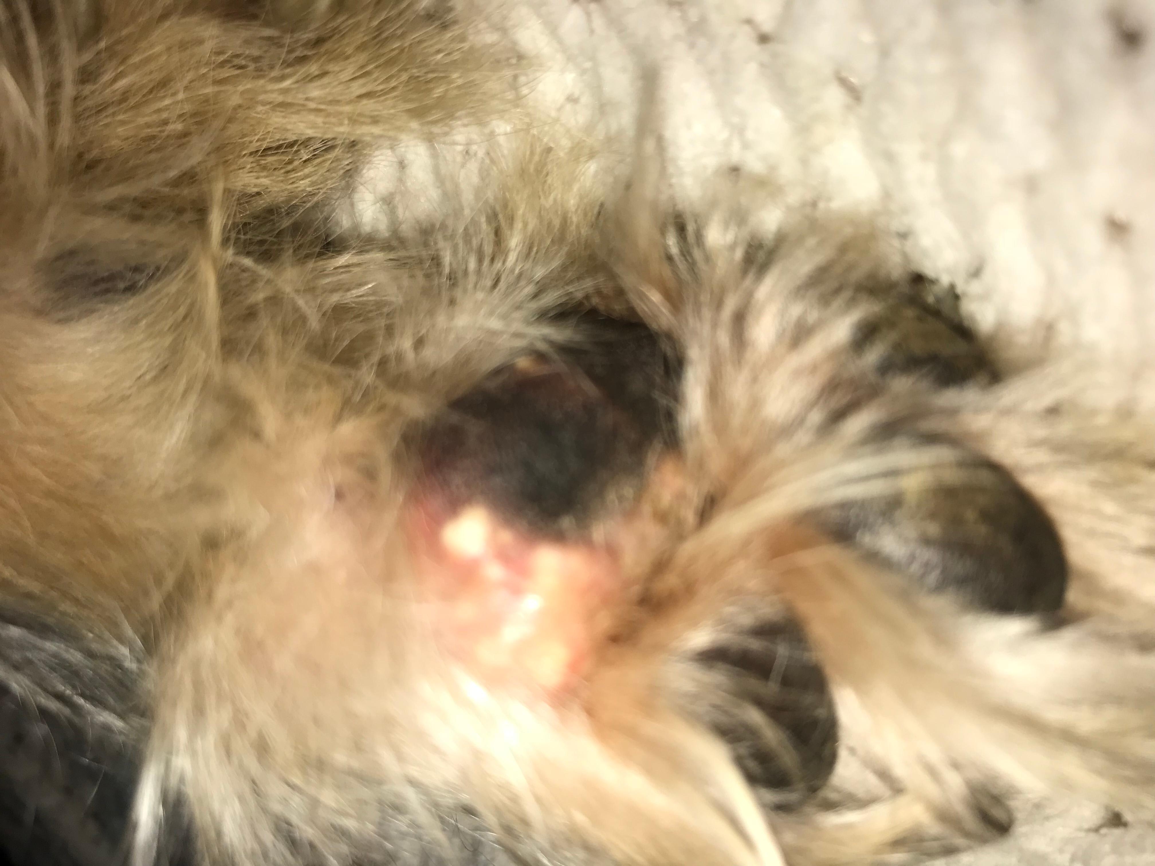 Question details sensitive content