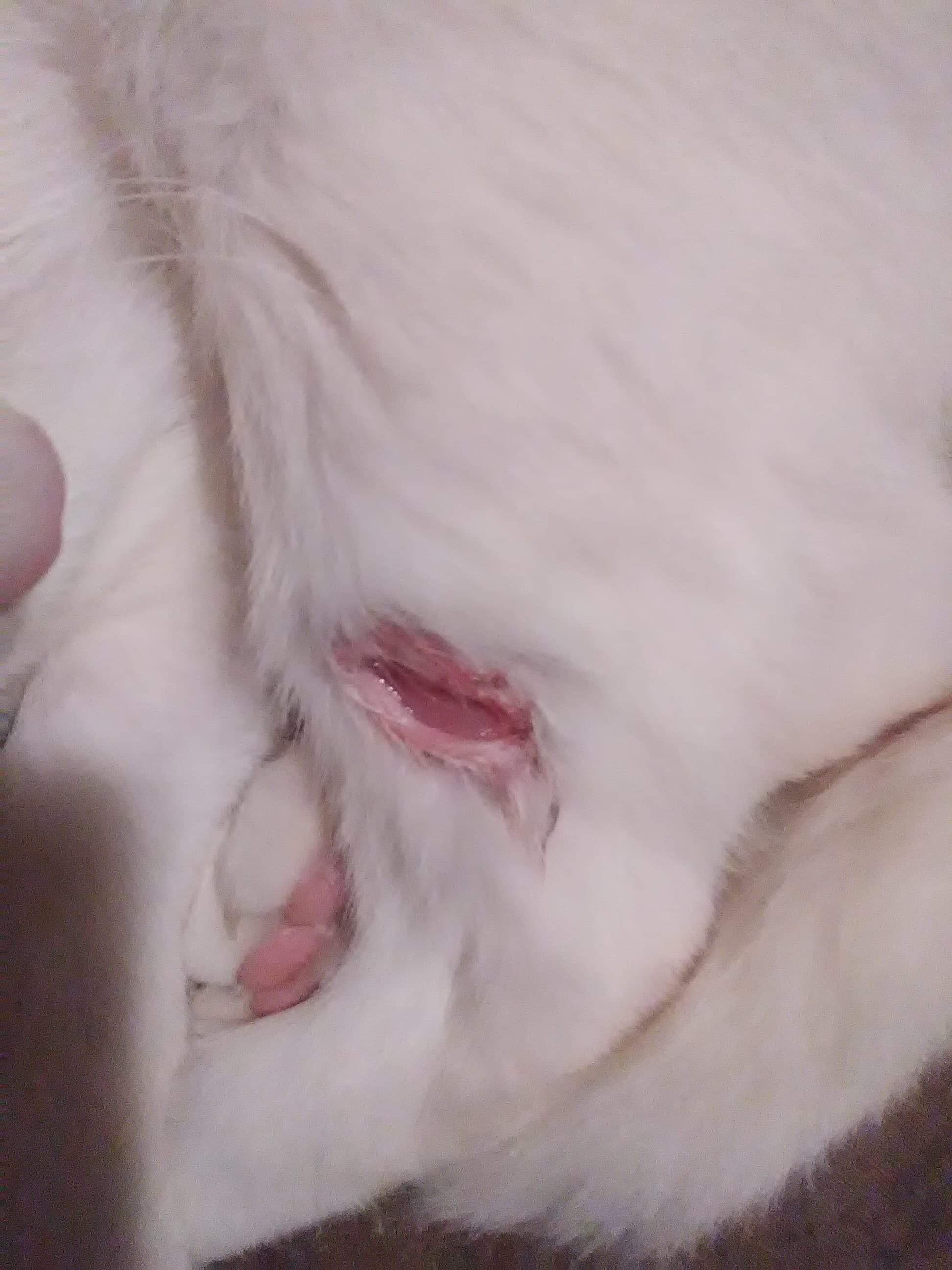 Question details sensitive content