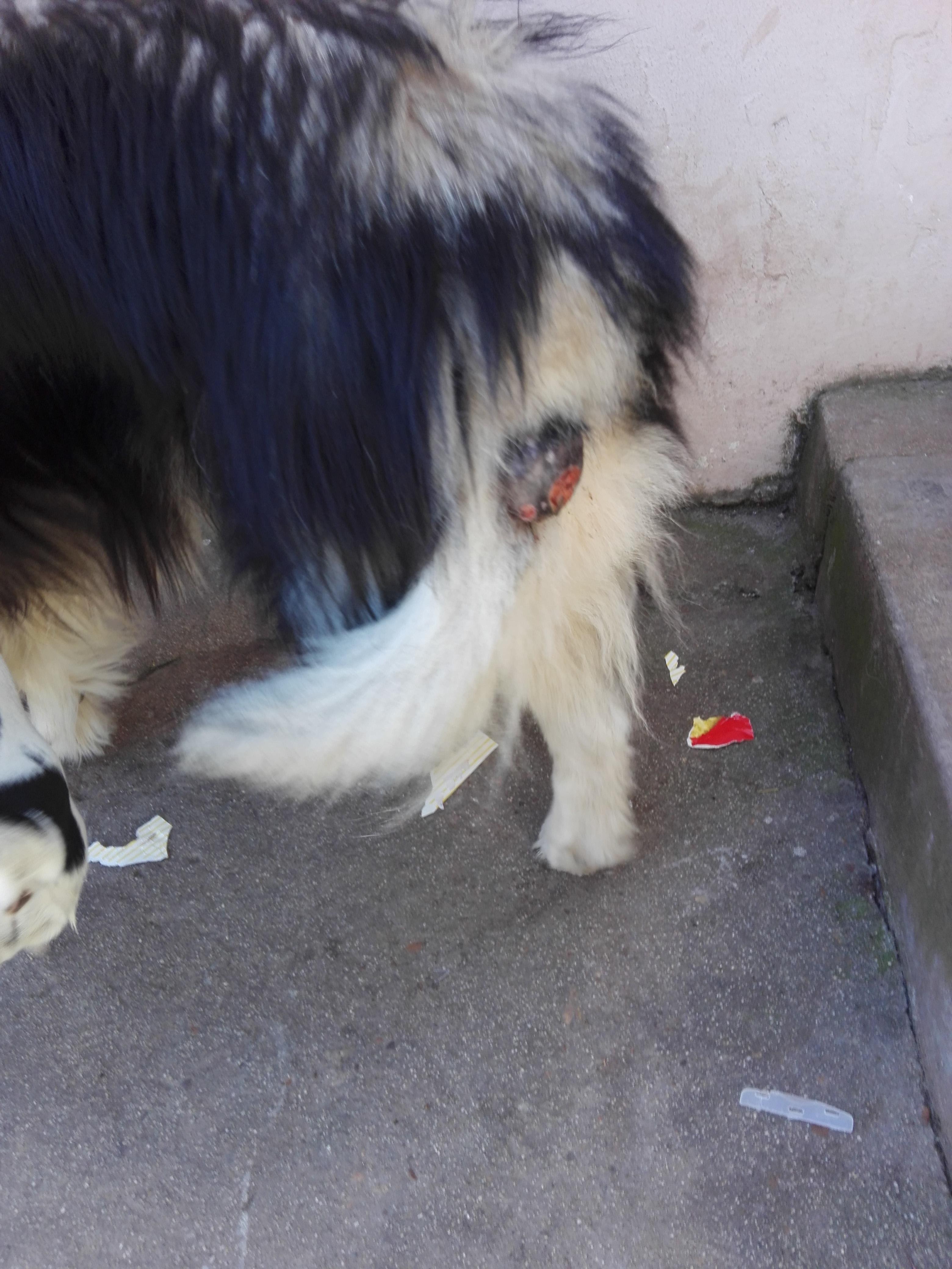 Question details sensitive content