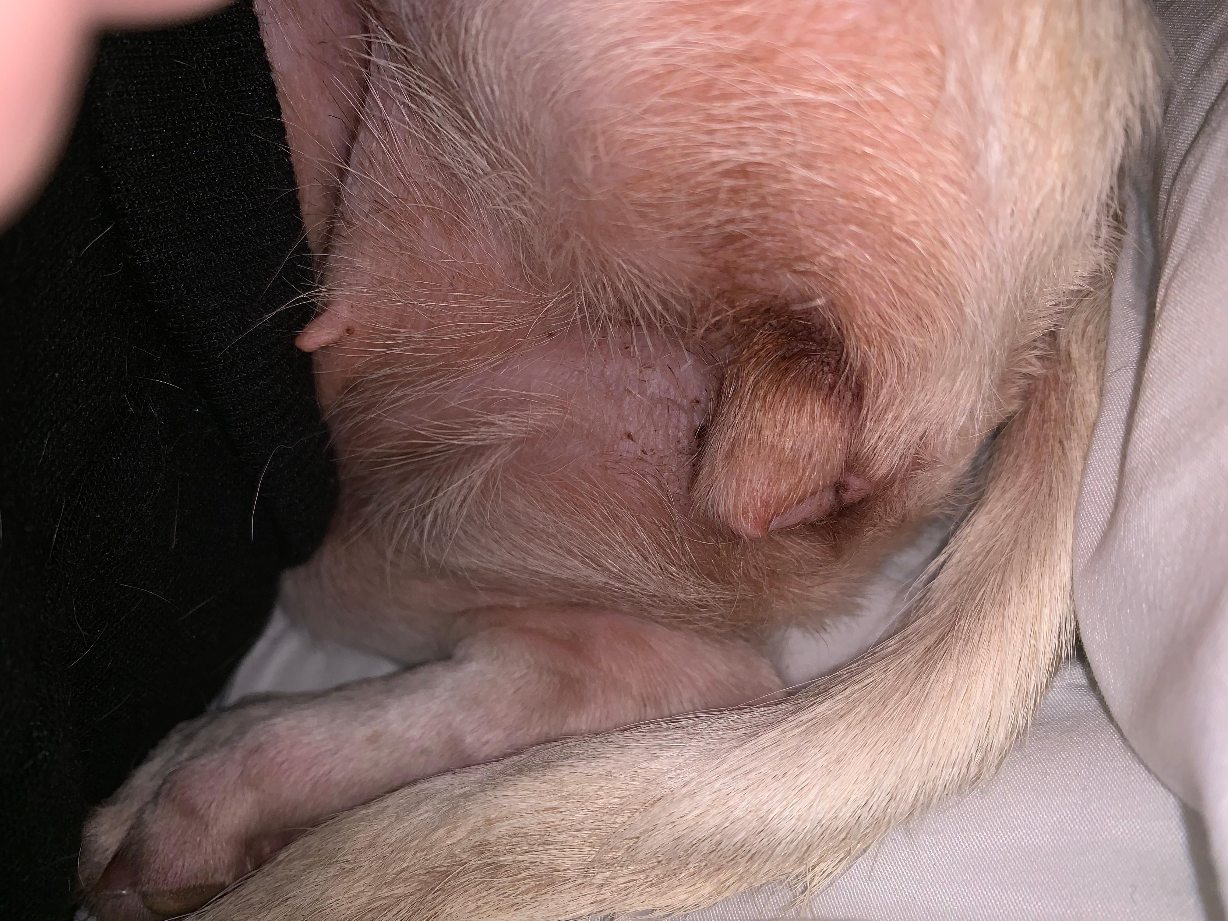 Question details sensitive content