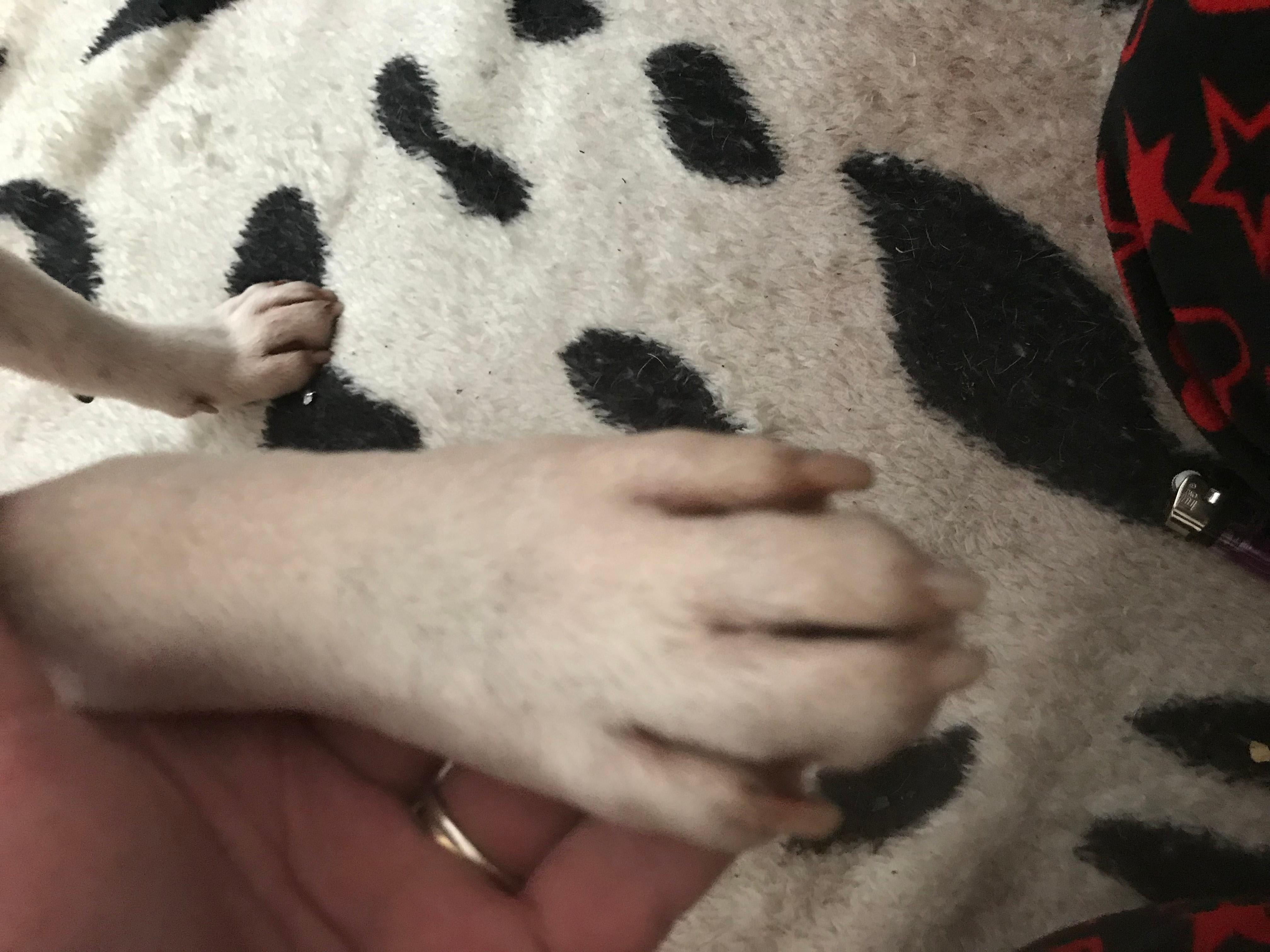 Question details sensitive content