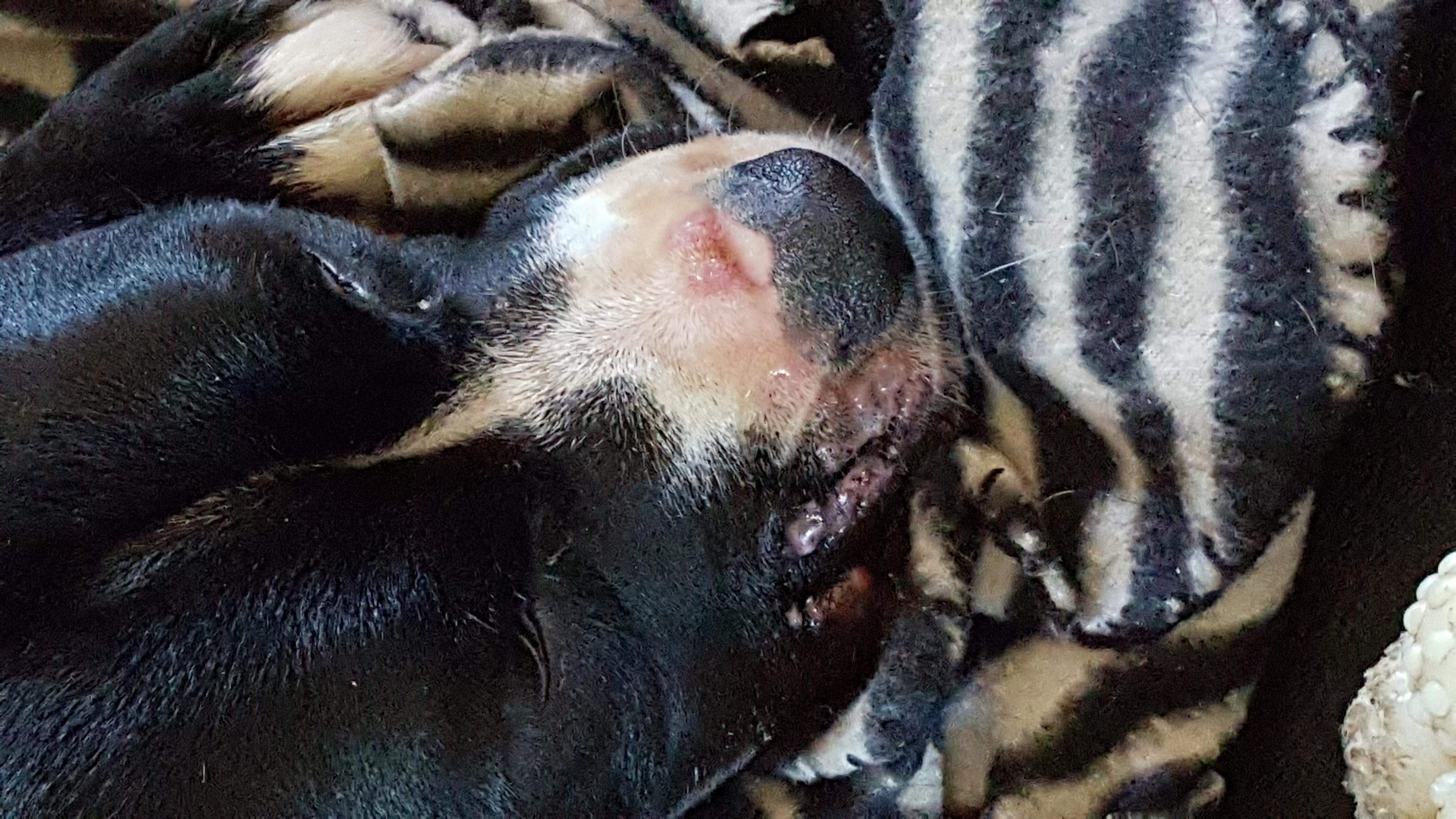 Question details sensitive content