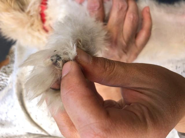 Question details sensitive content