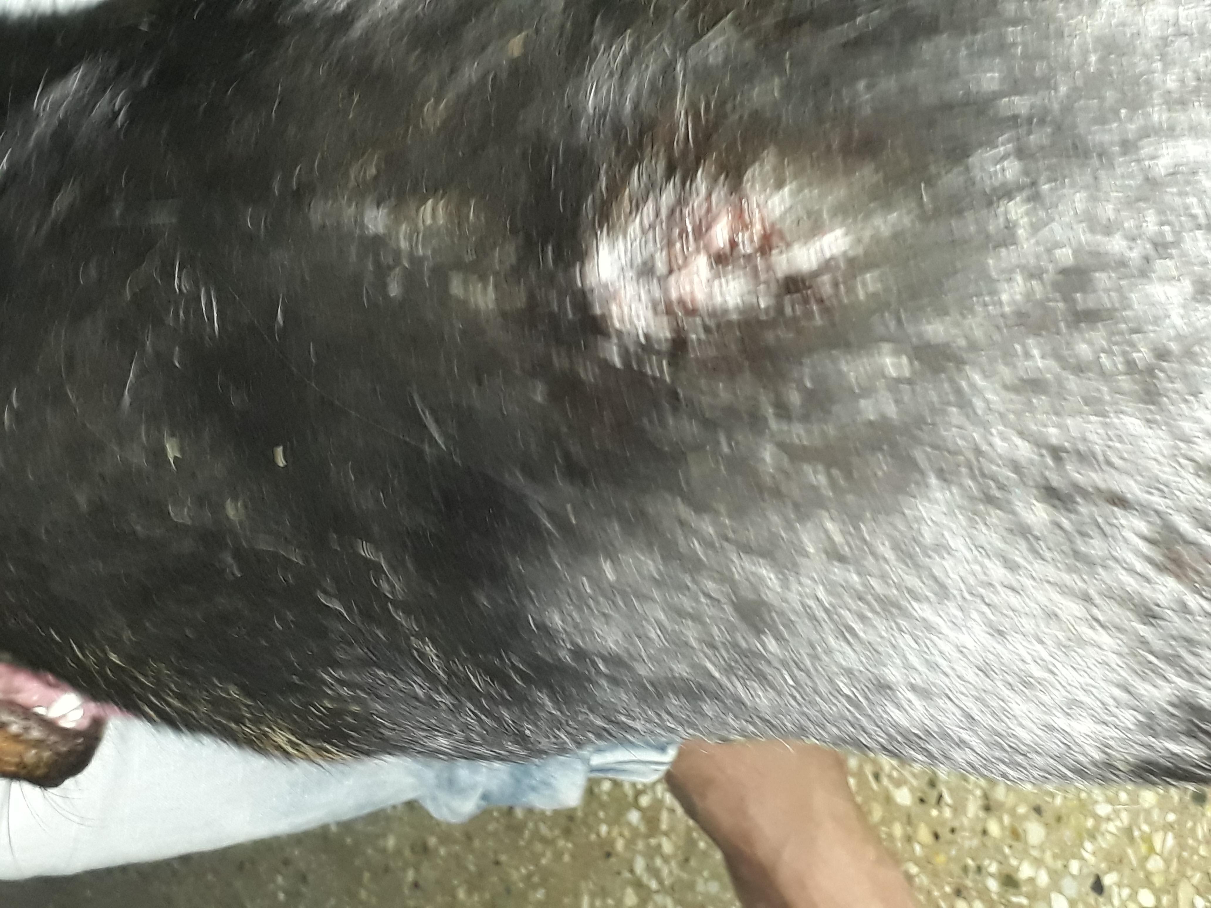 Question details sensitive content