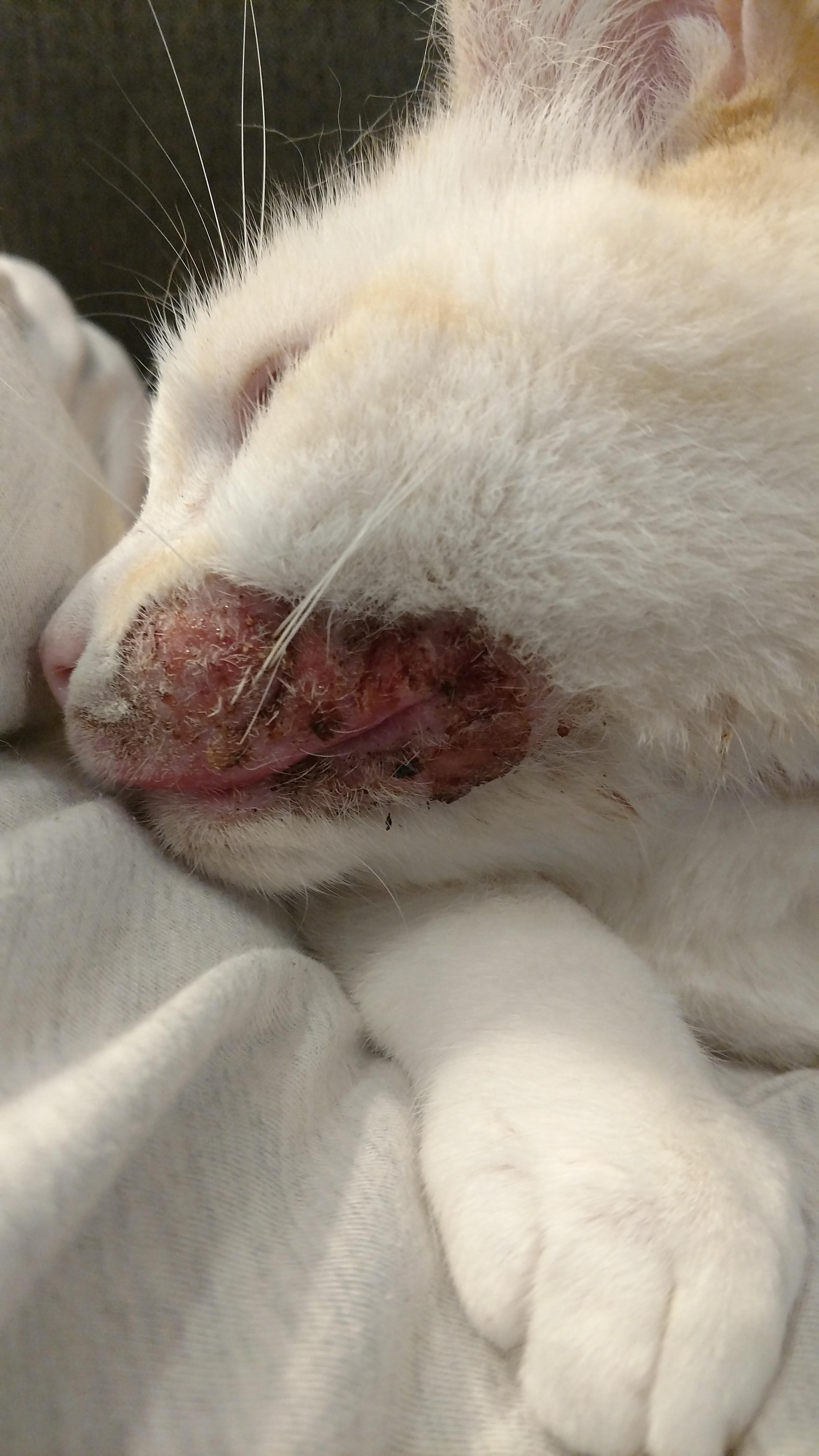 Question details sensitive content