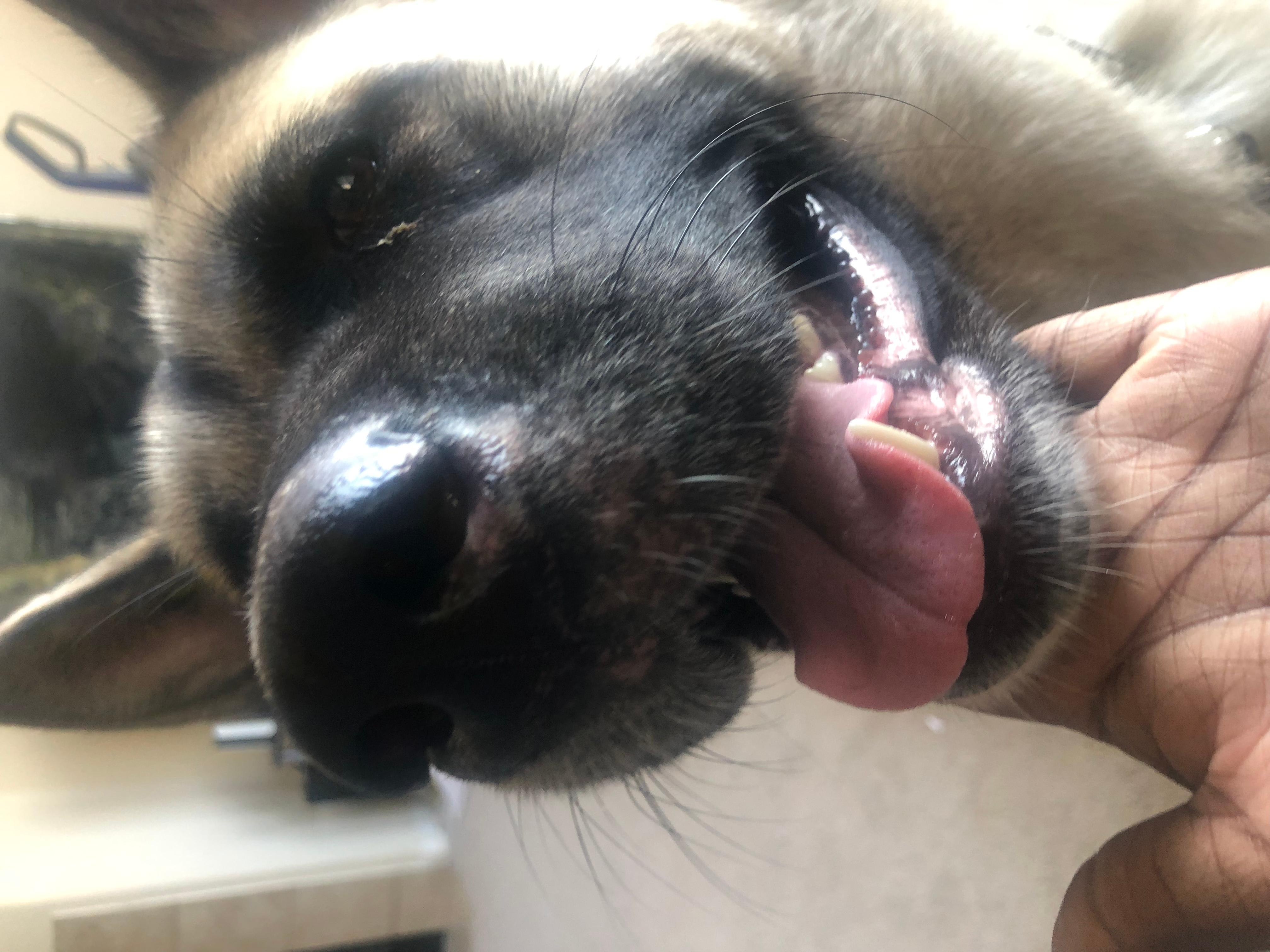 Question details sensitive content