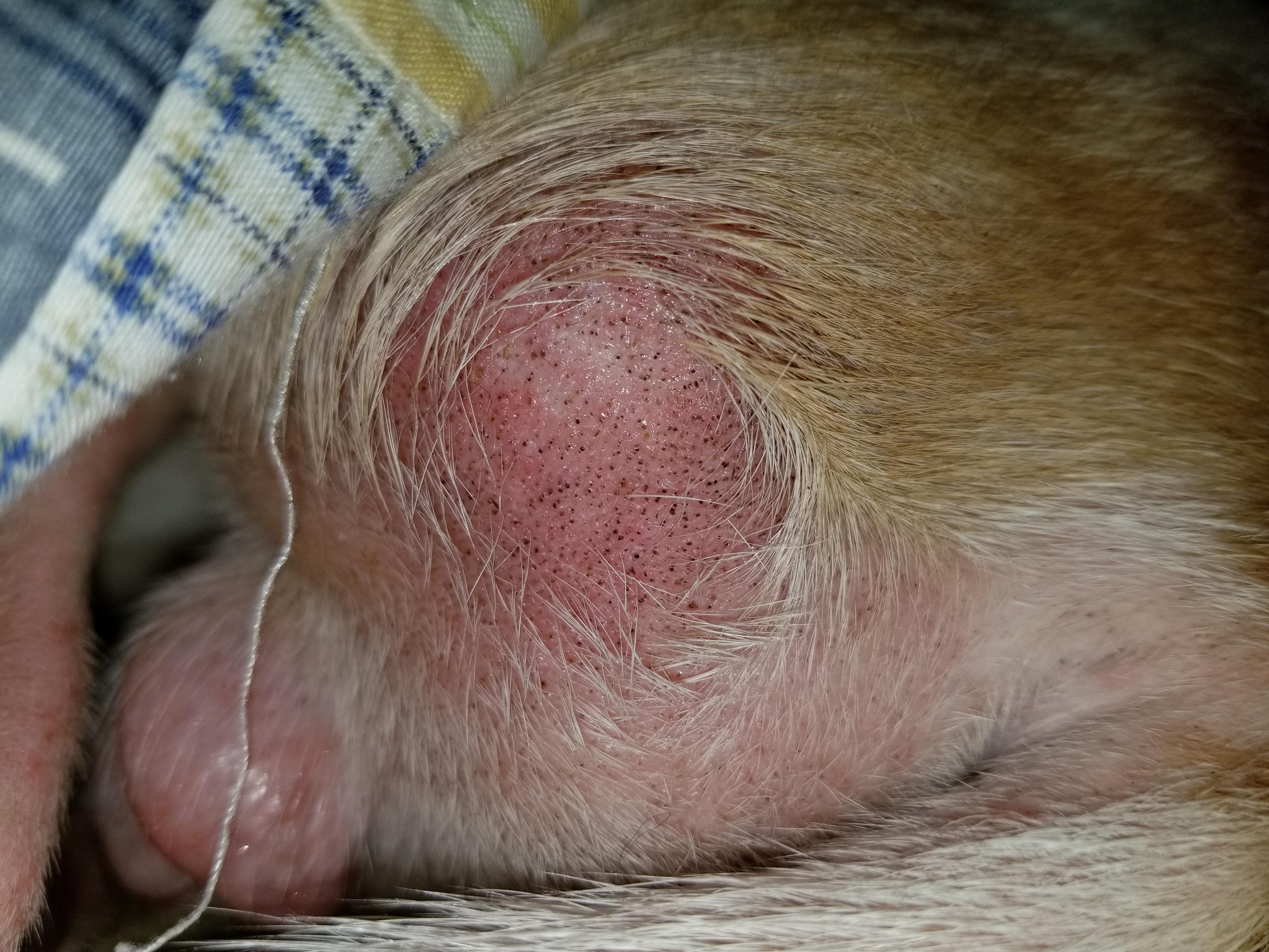 Question details sensitive content