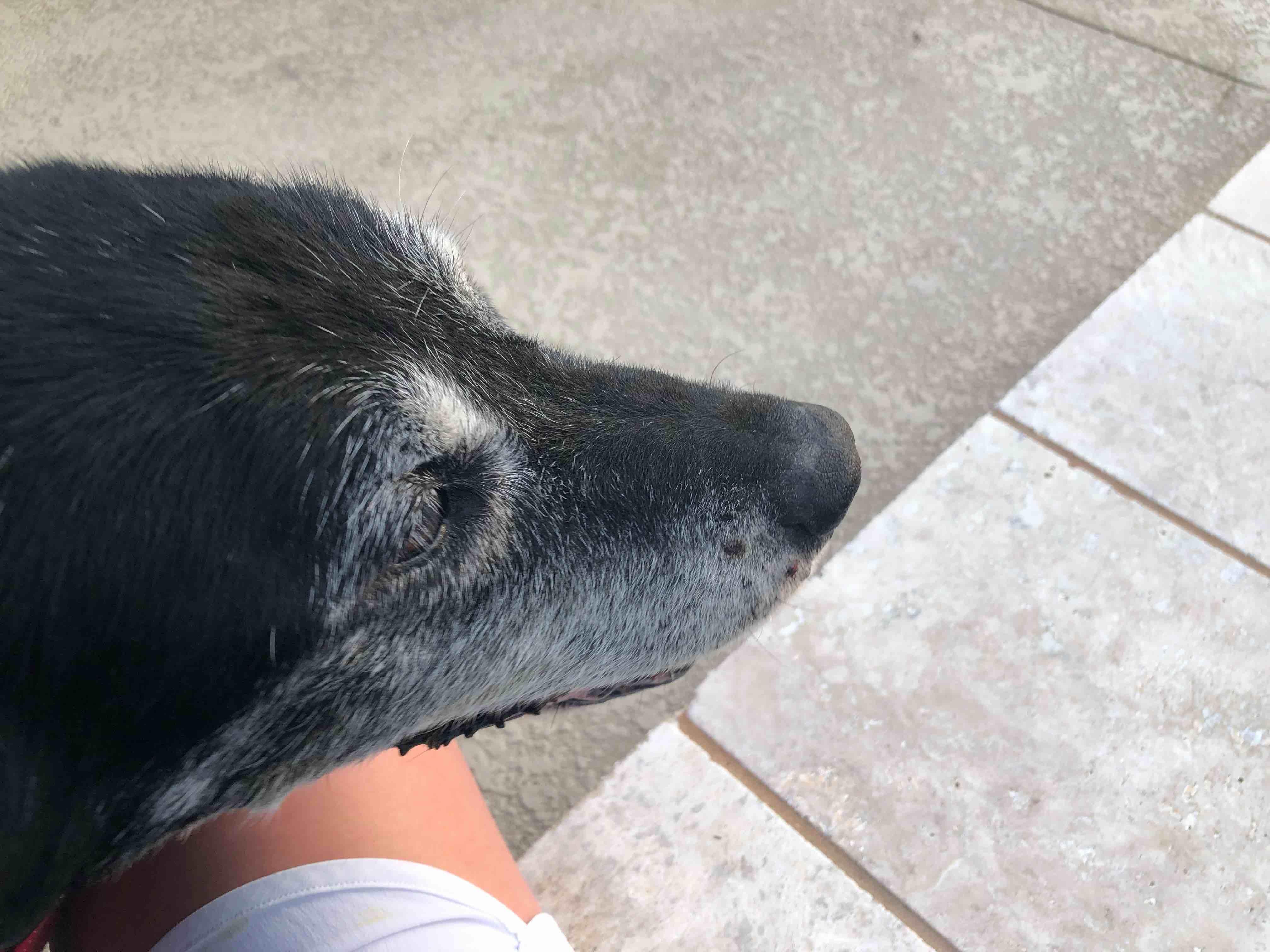 Question details sensitive content