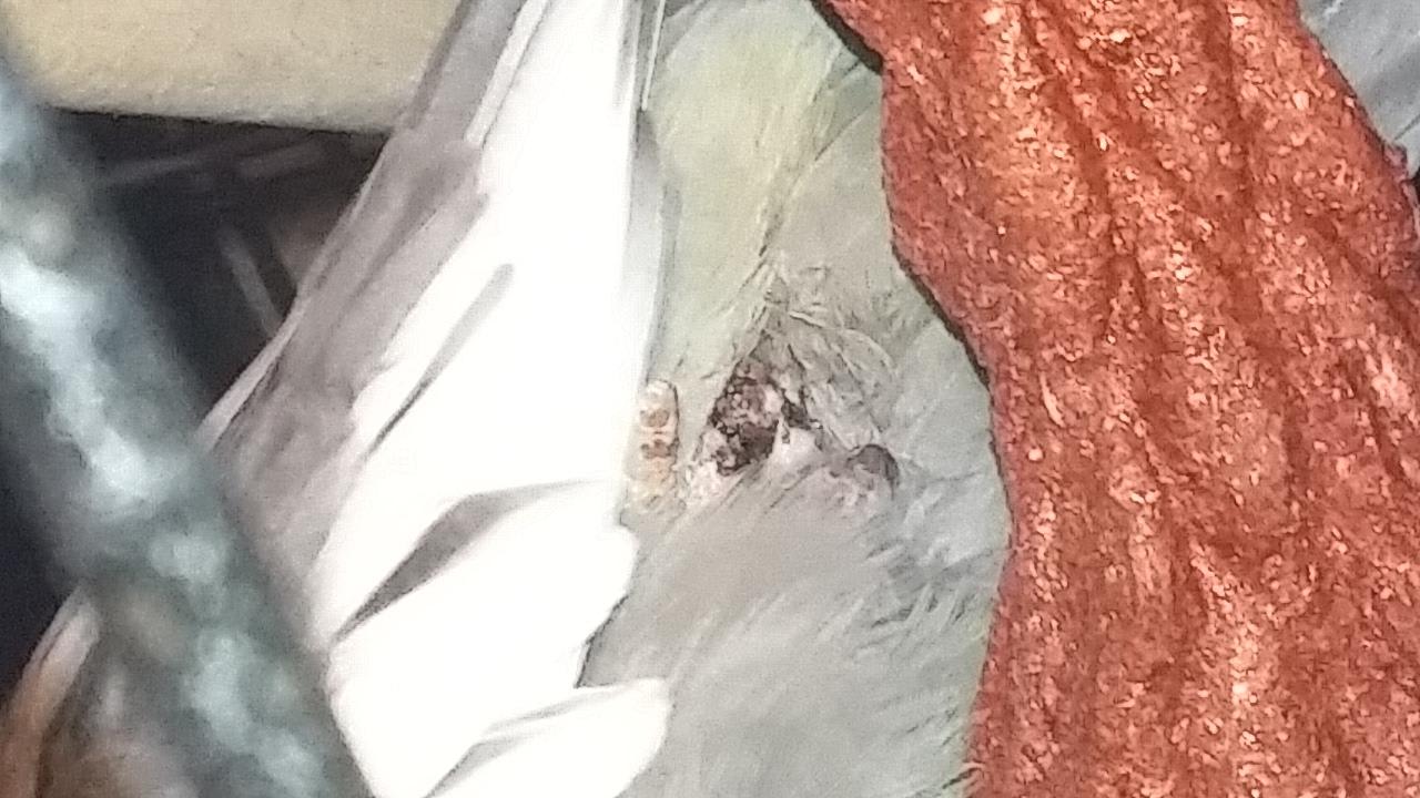 Question details sensitive content