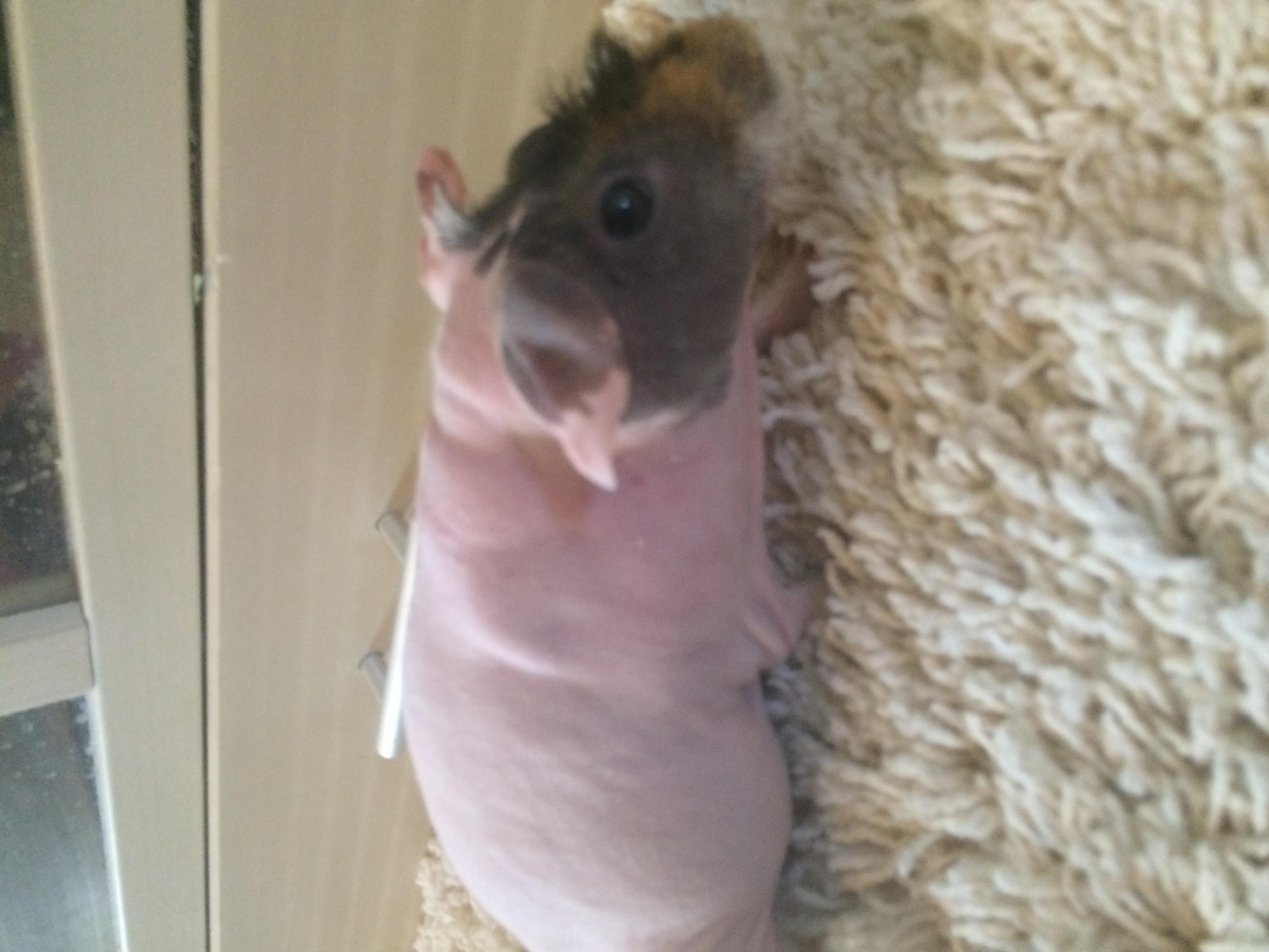 Question details sensitive content