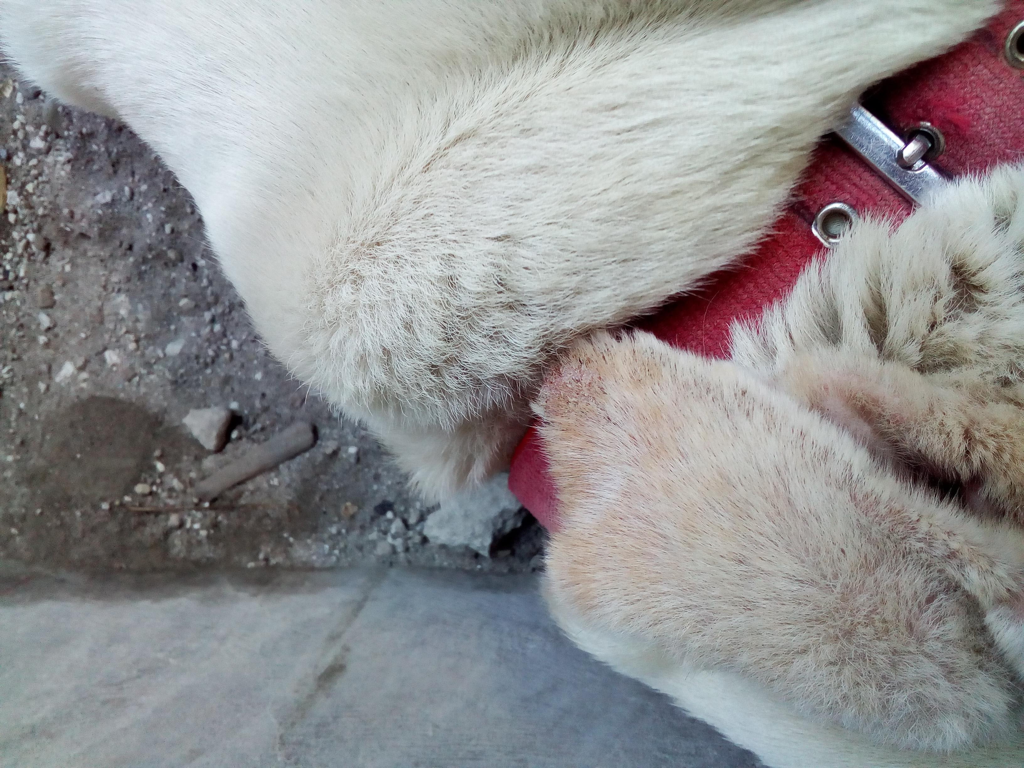 Question details sensitive content