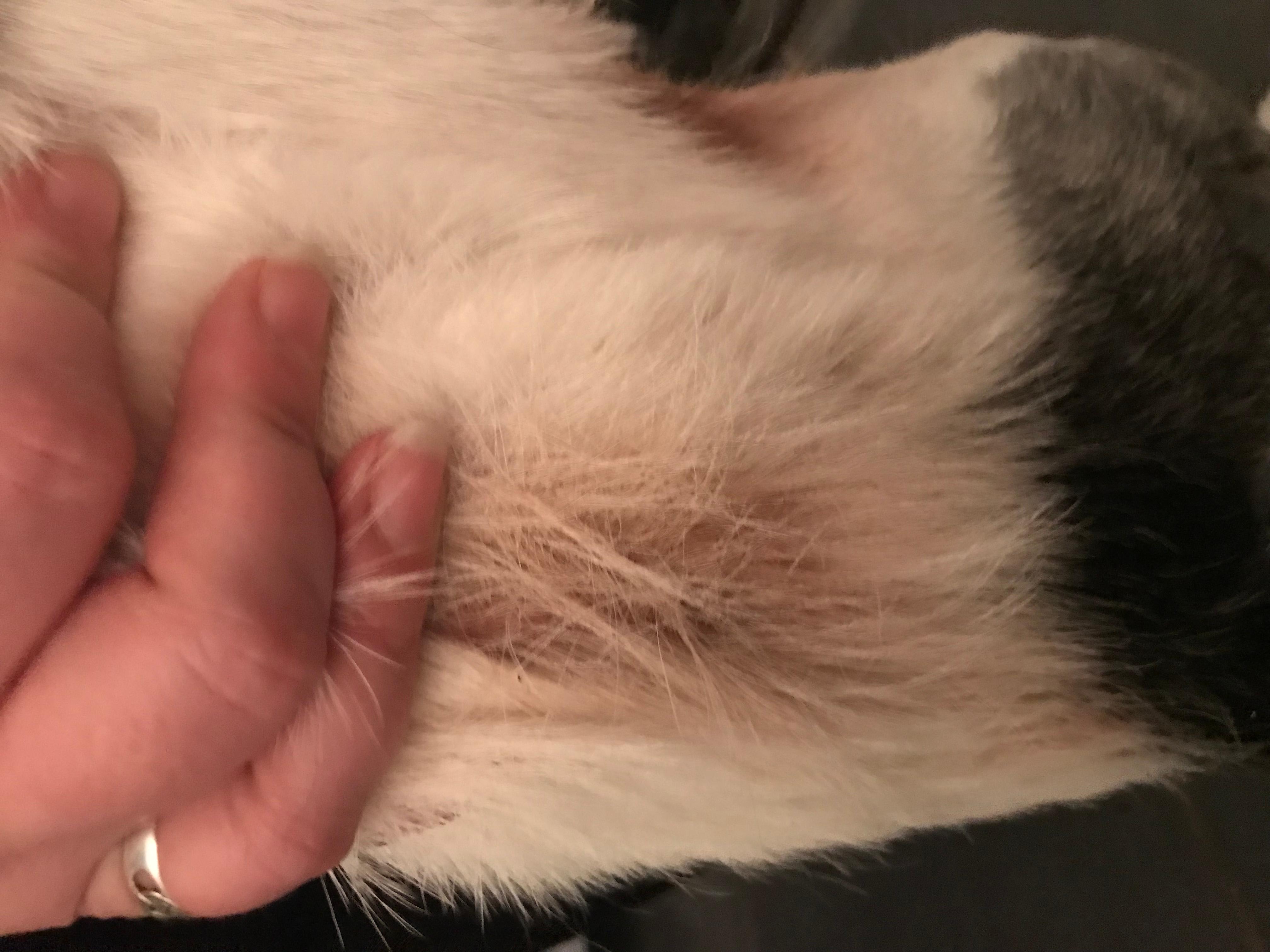 Question details sensitive content