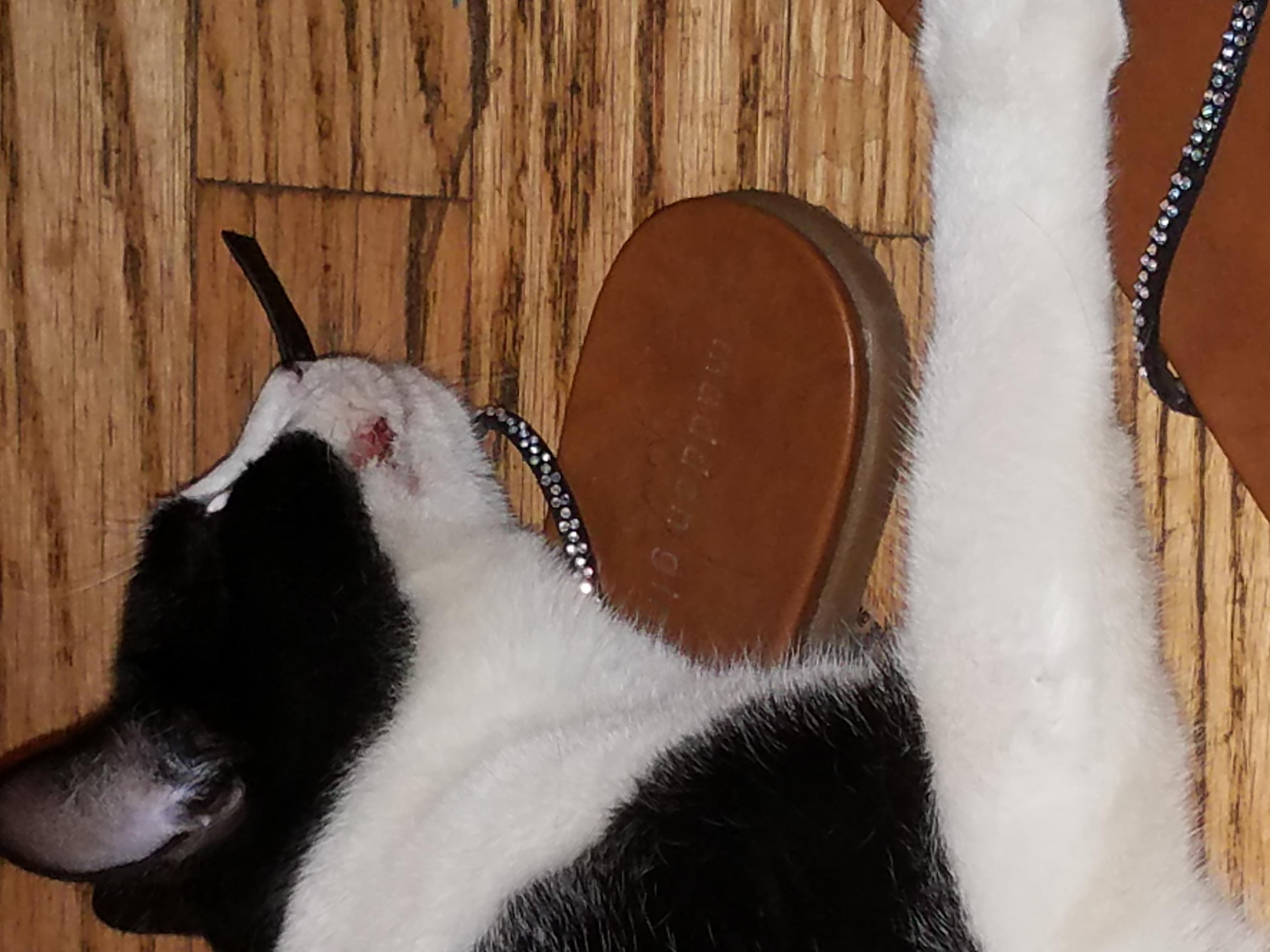 Question details sensitive content