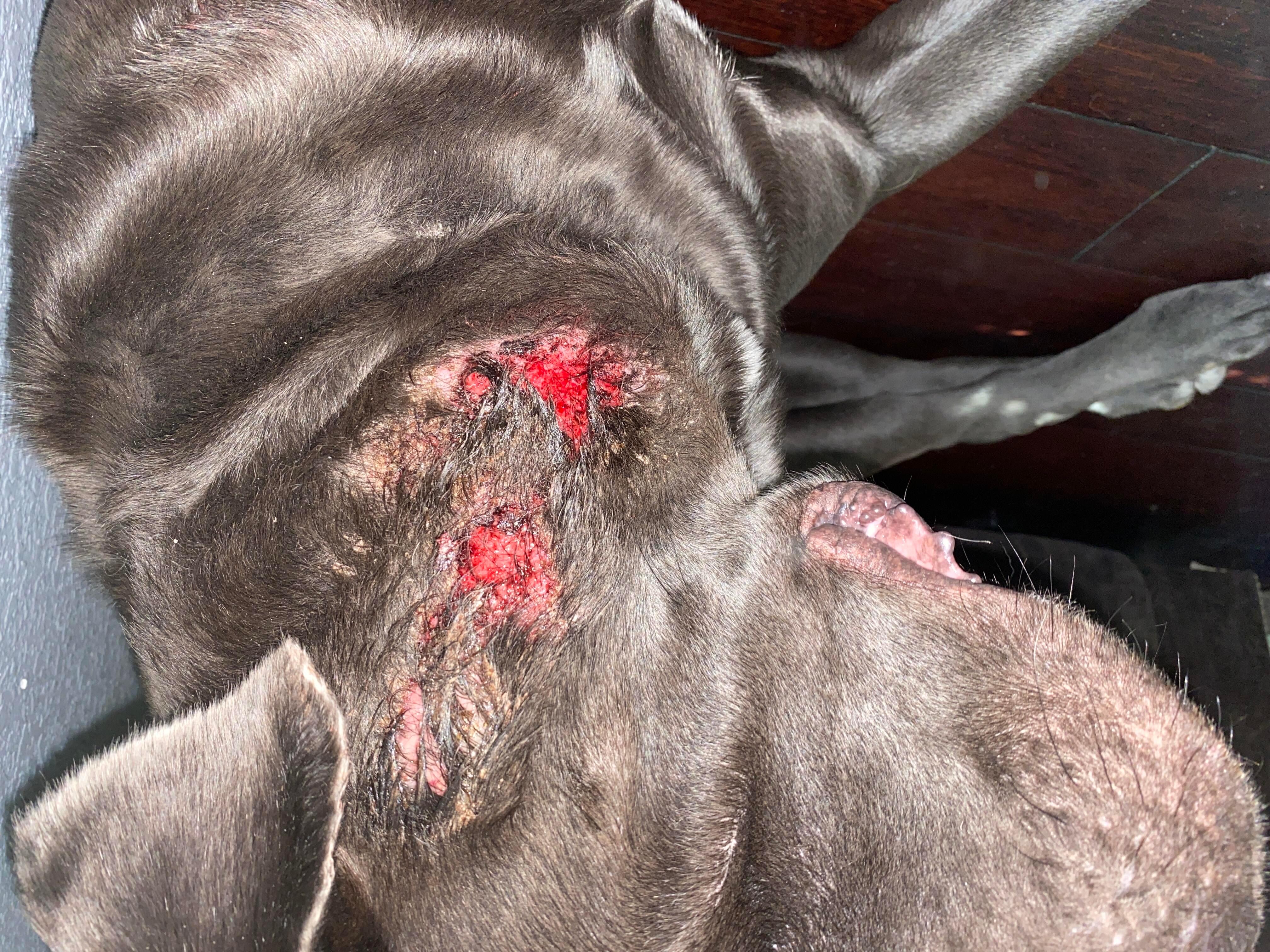 Question details sensitive content