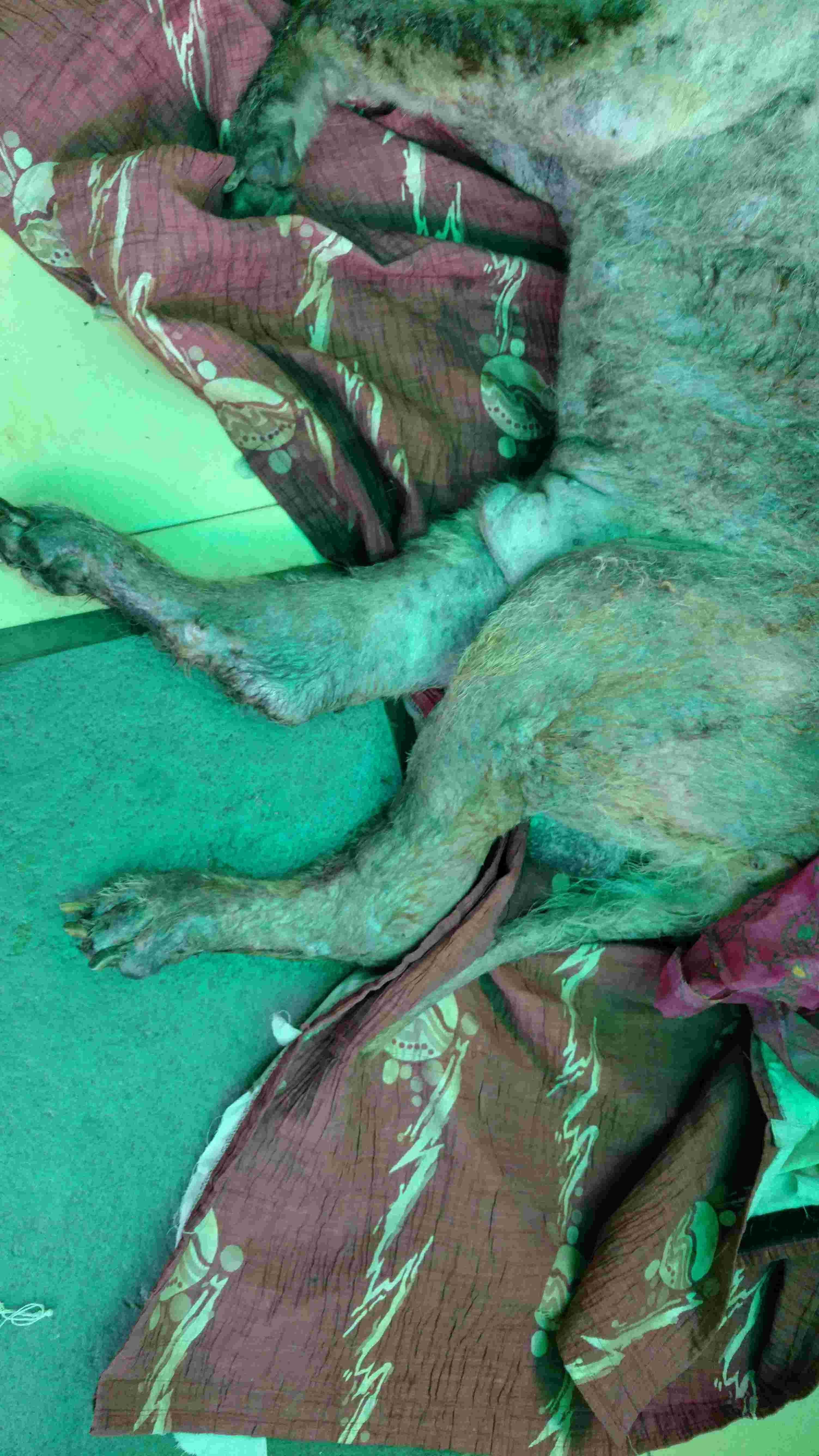 Question details sensitive content