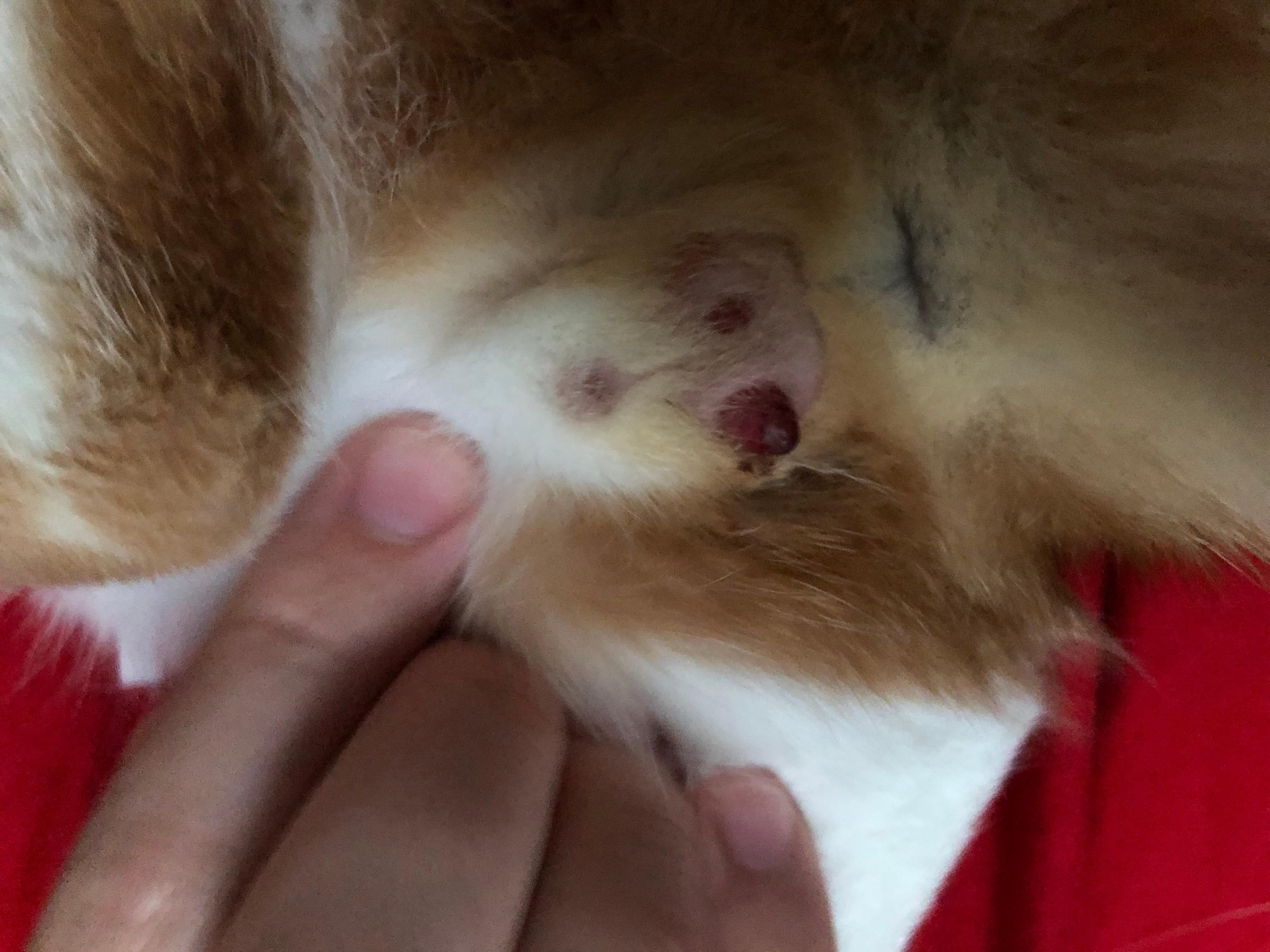 Question details sensitive content