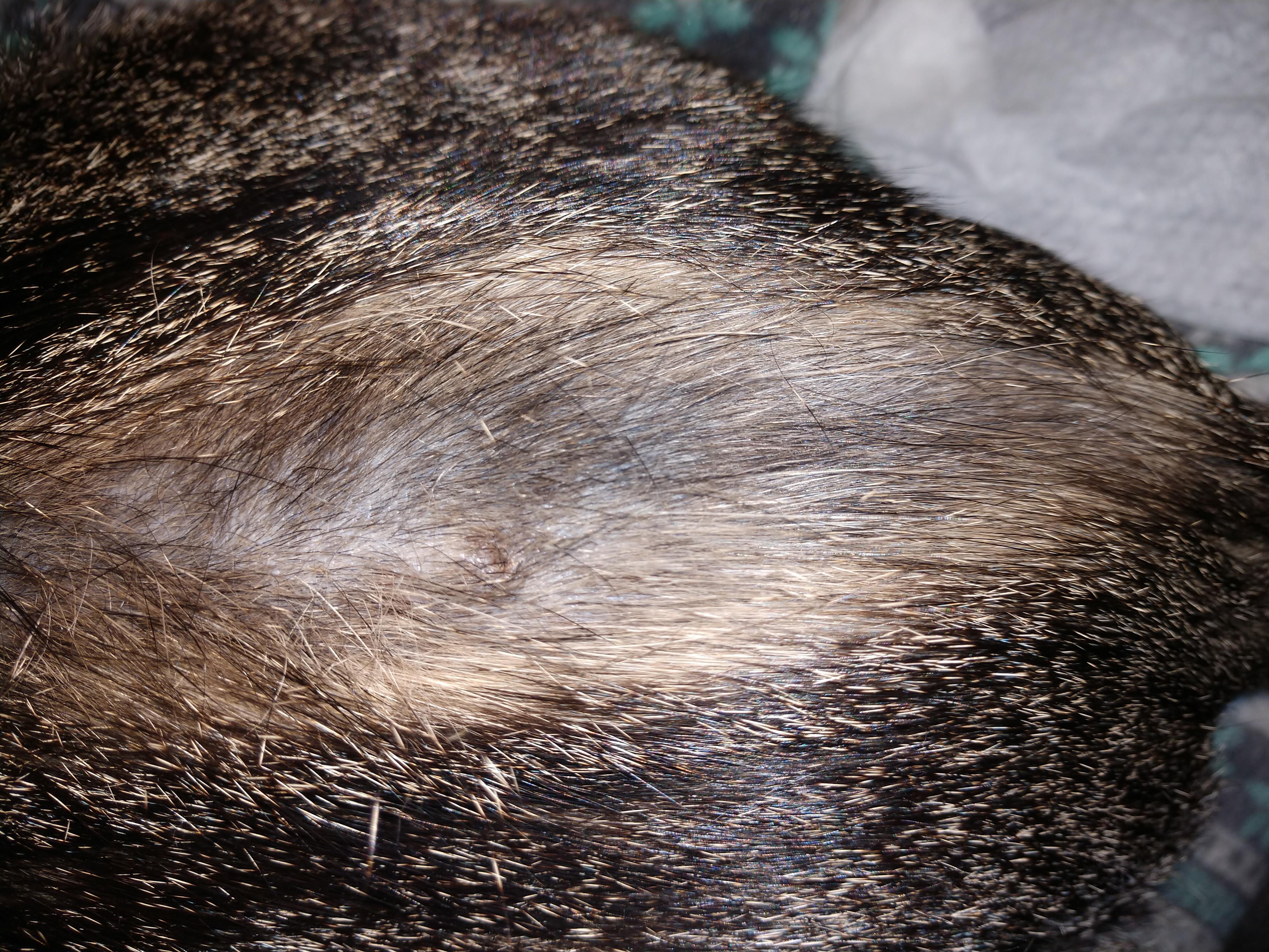 Question details sensitive content