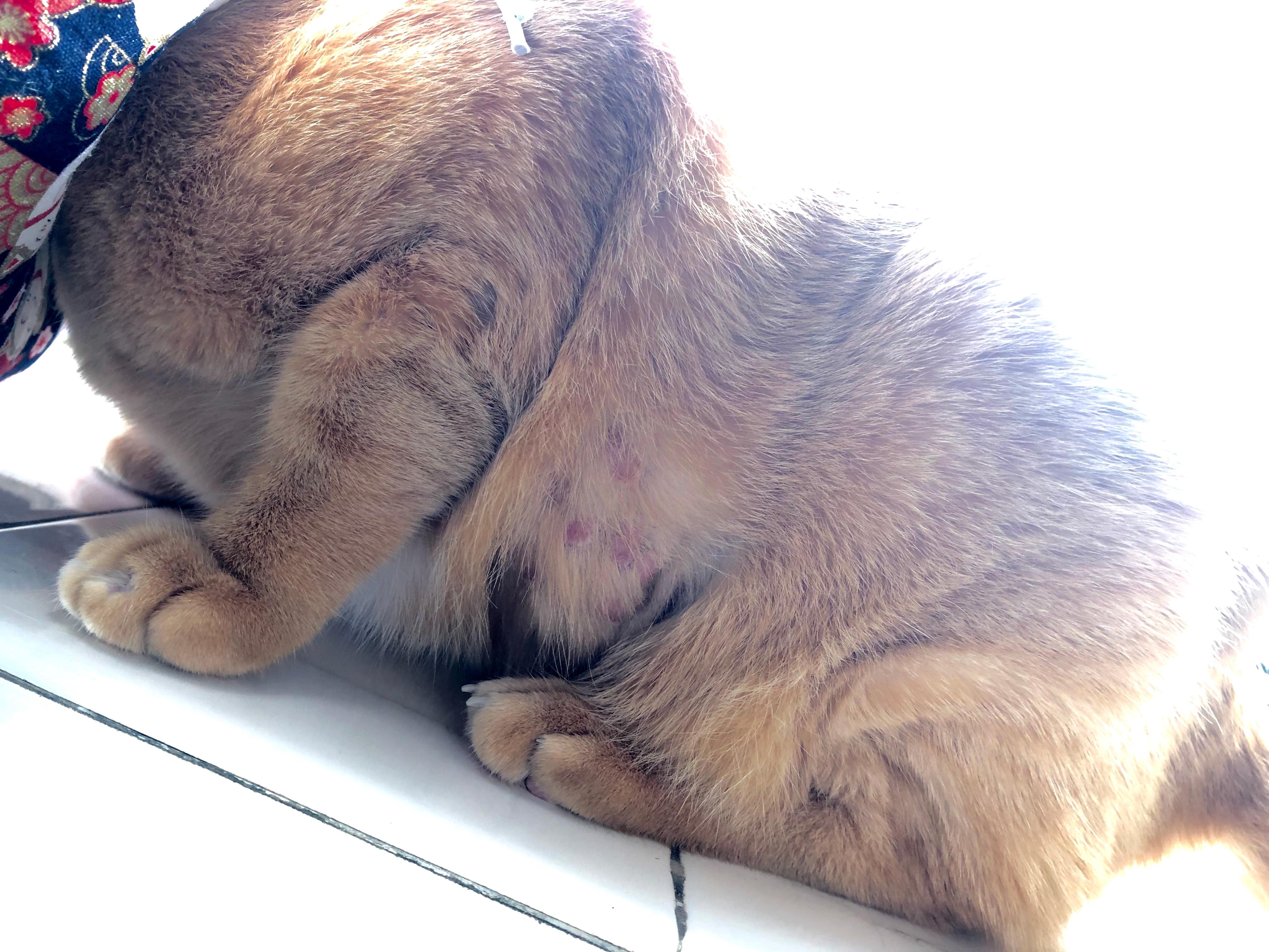 Question details sensitive content