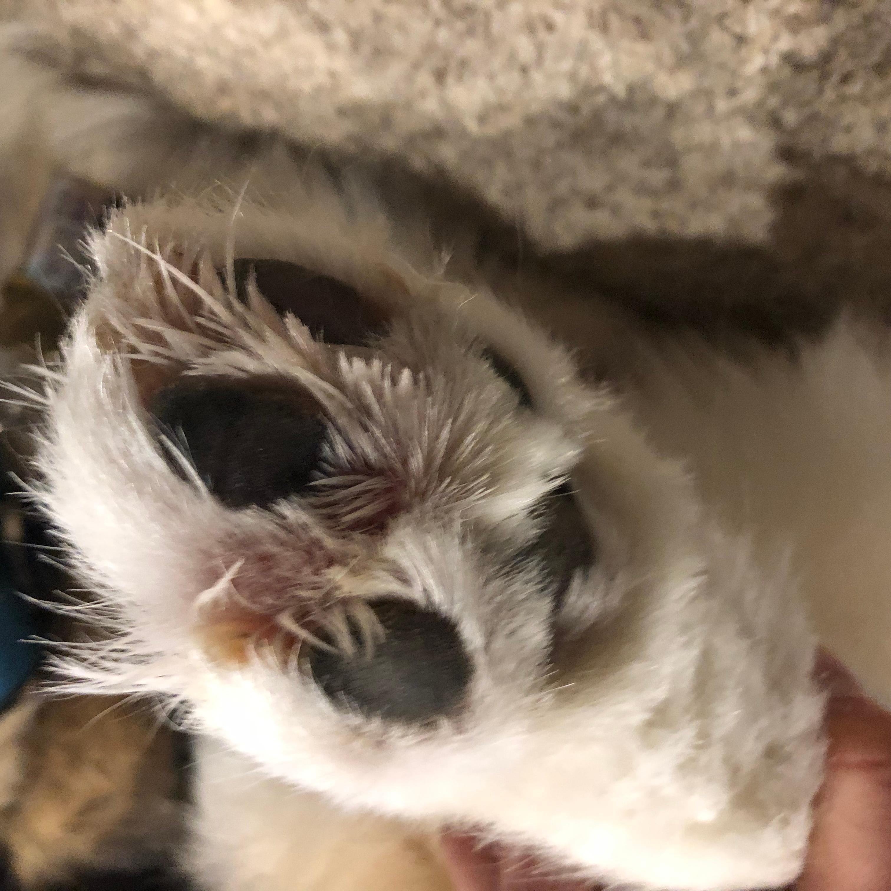 Question details sensitive content