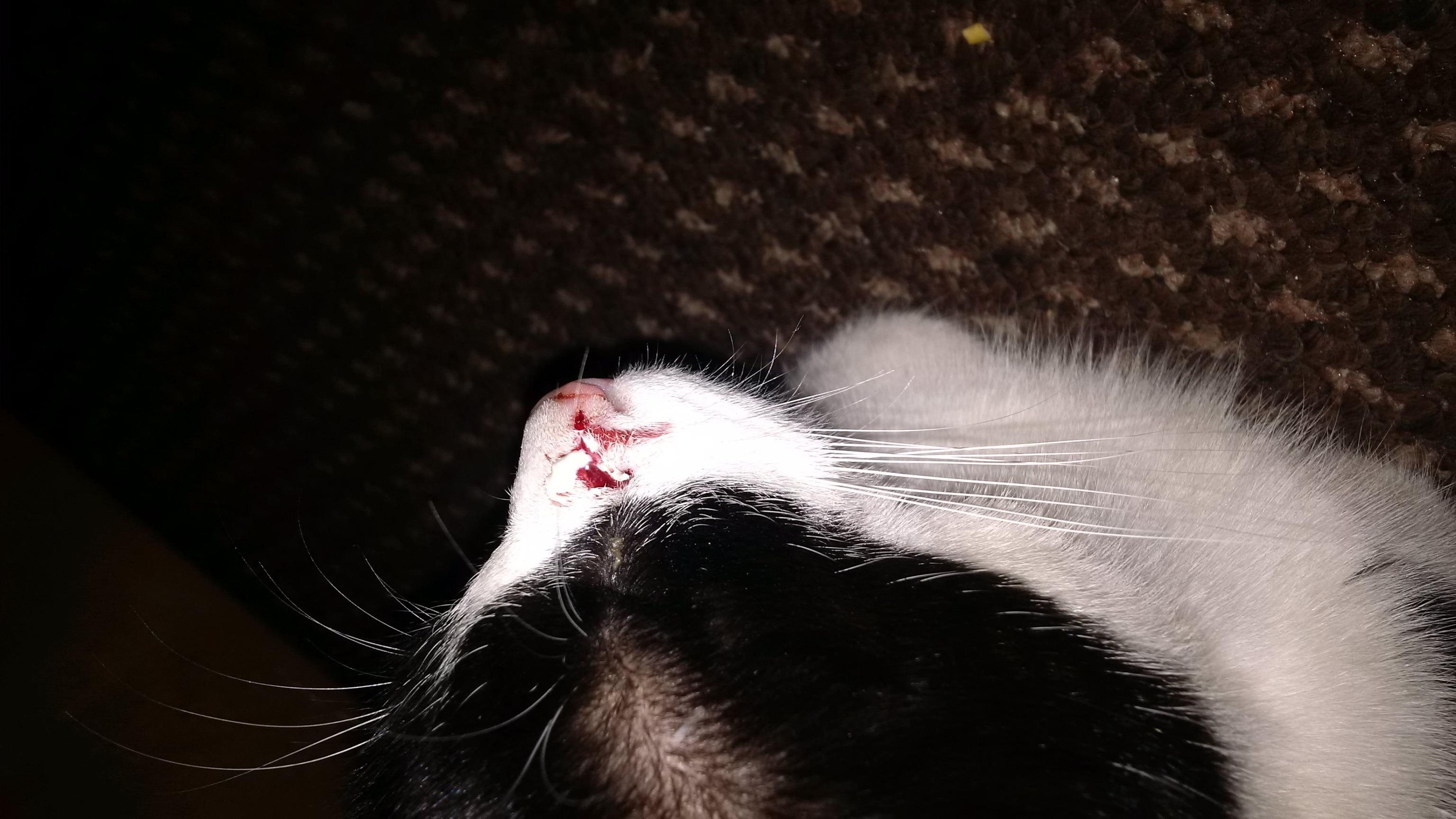 Question details sensitive content