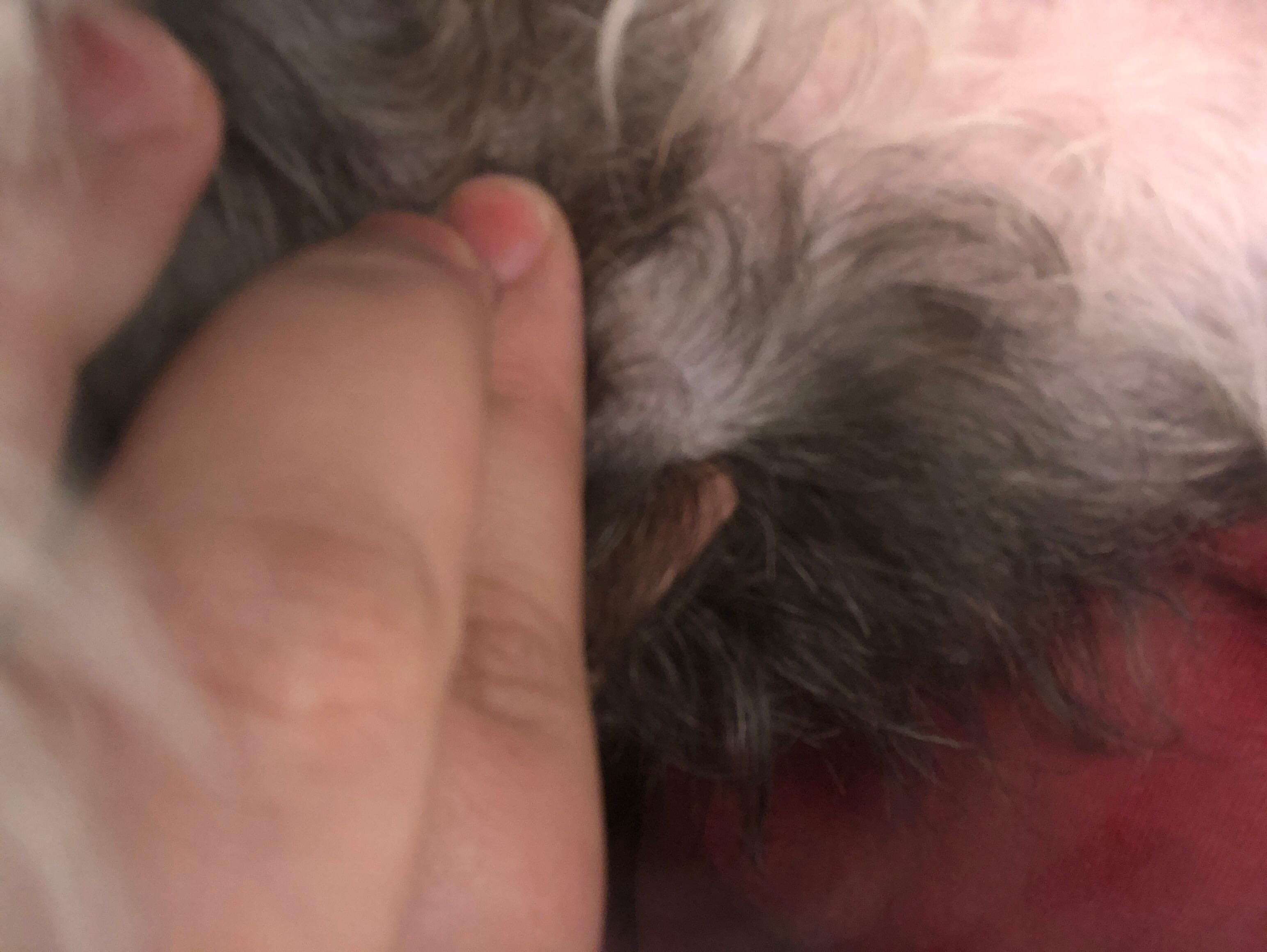 Question details sensitive content