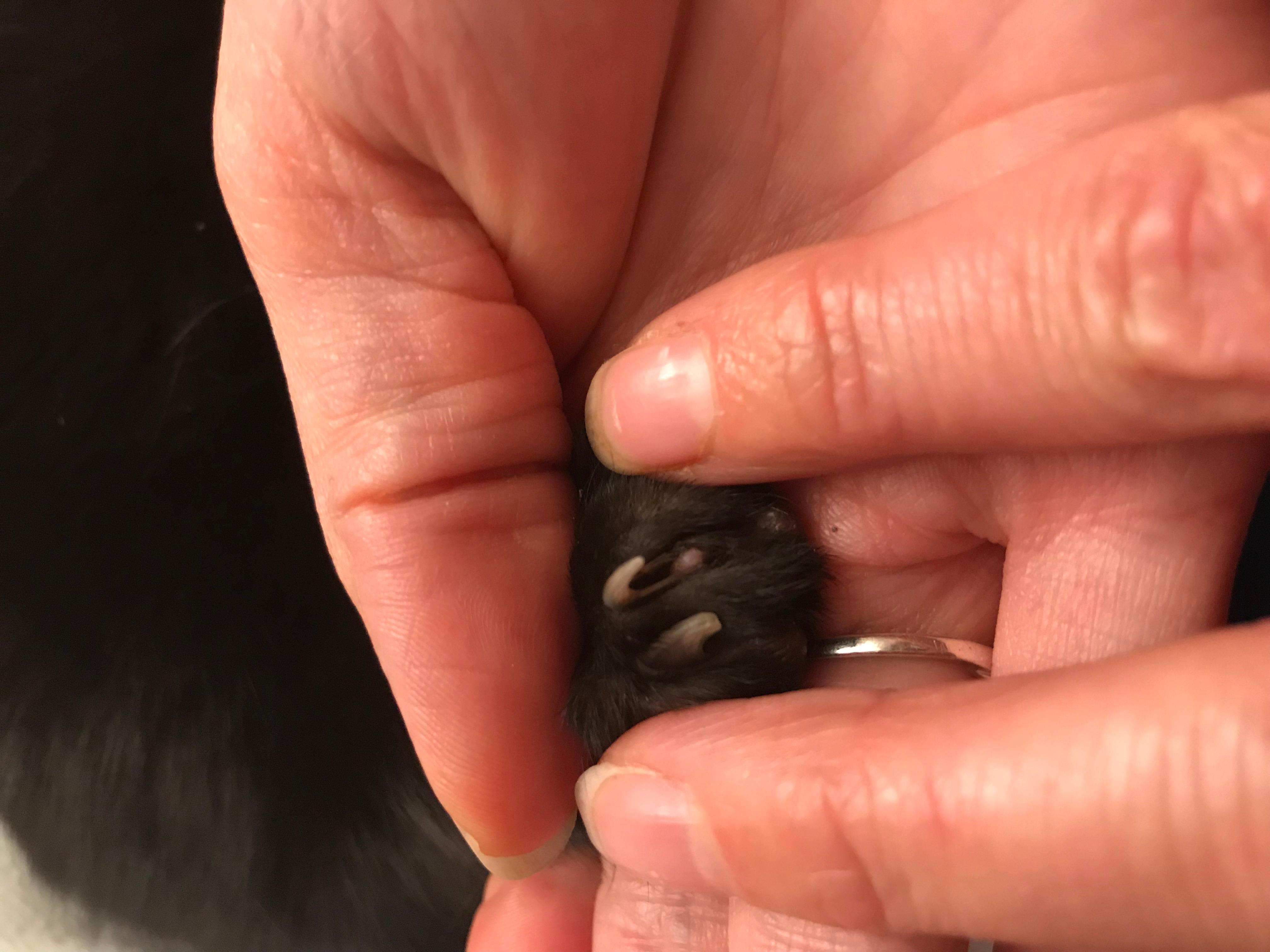 Question details sensitive content