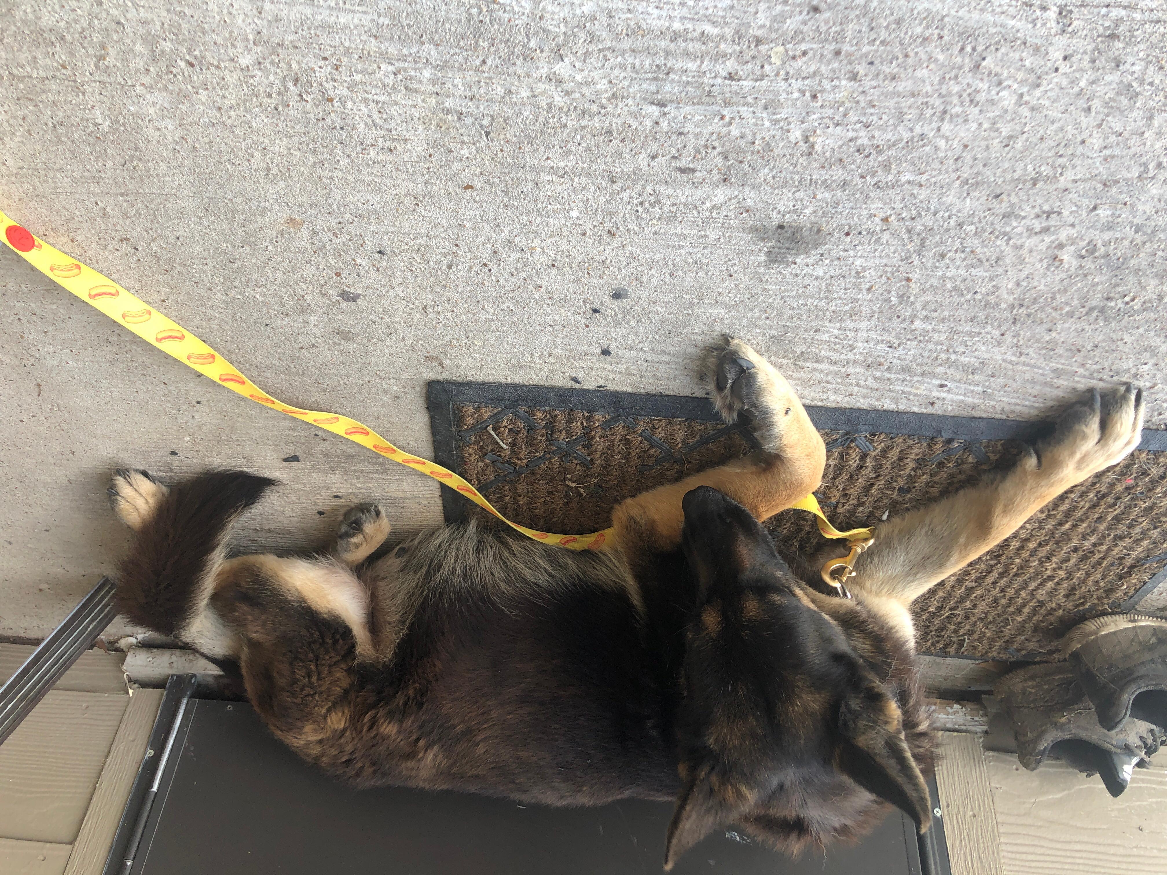 Question details sensitive content