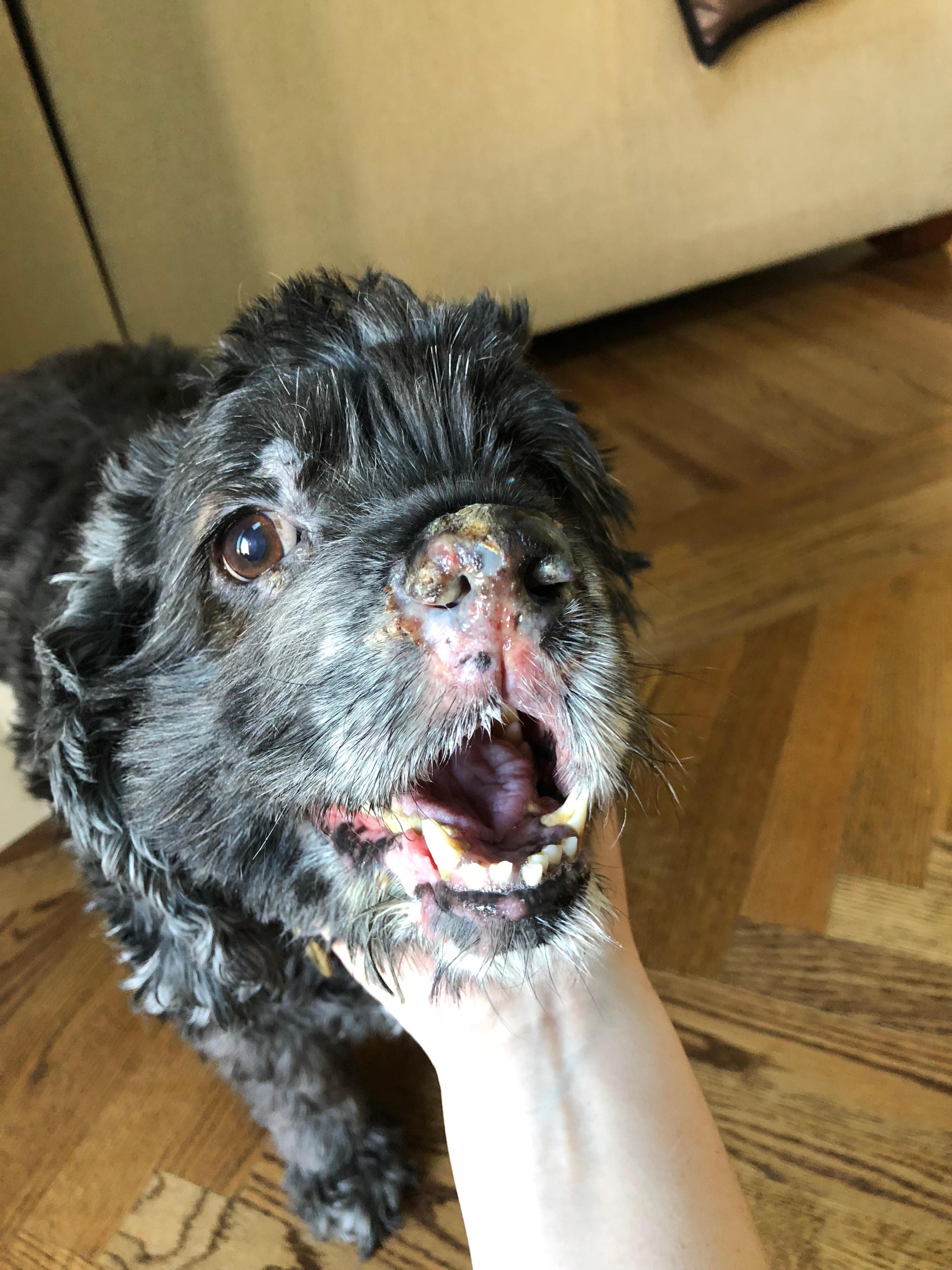 Question details sensitive content