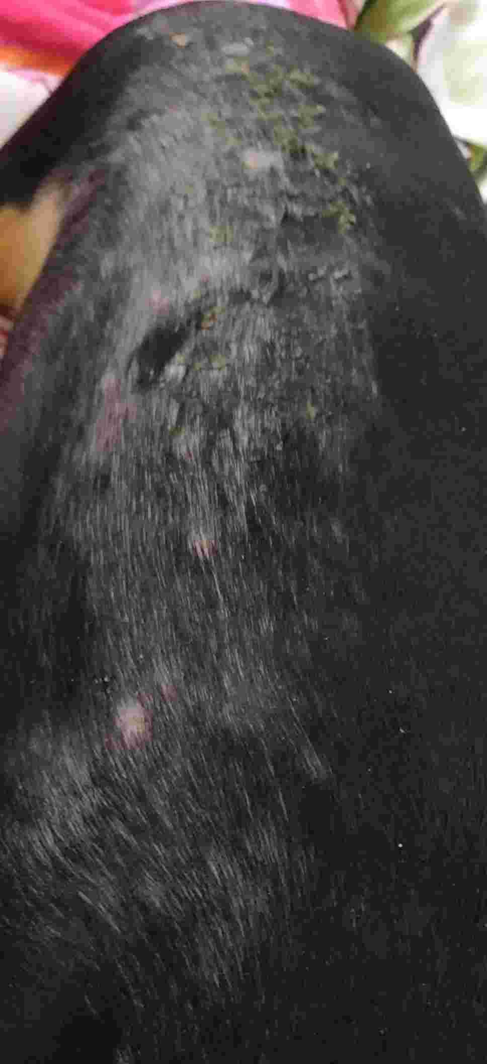 Question details sensitive content