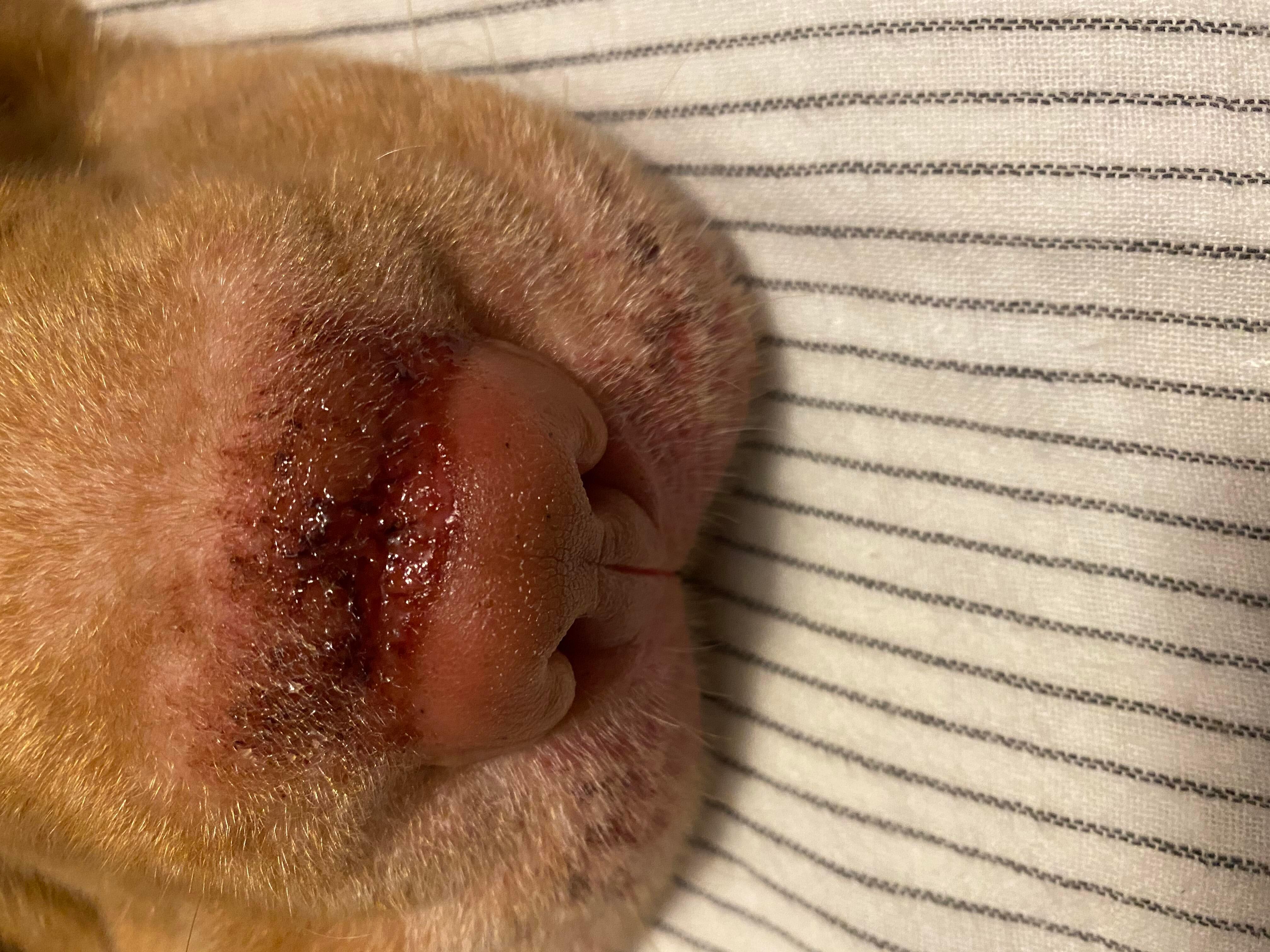 Question details sensitive content