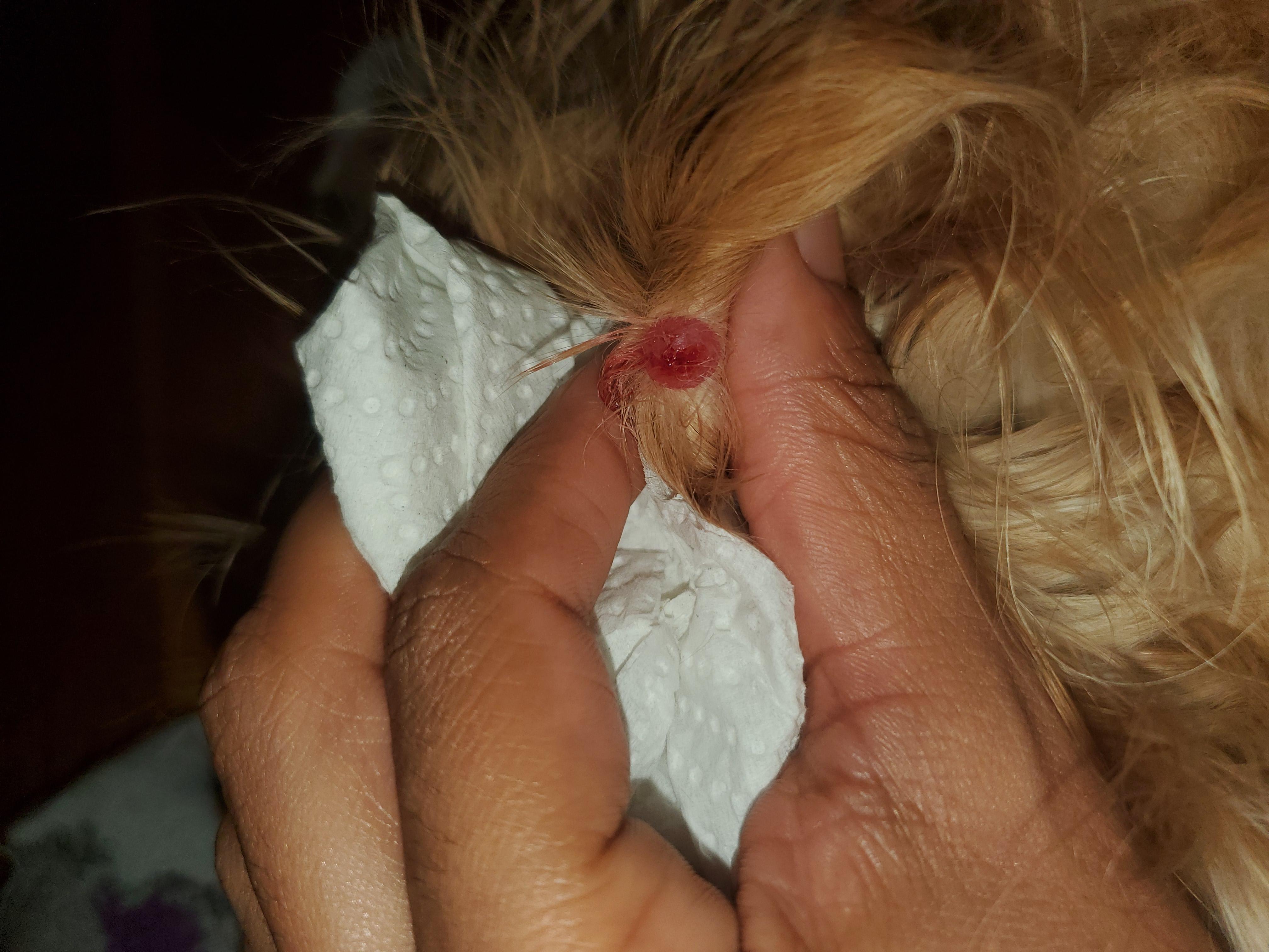 Question details sensitive content