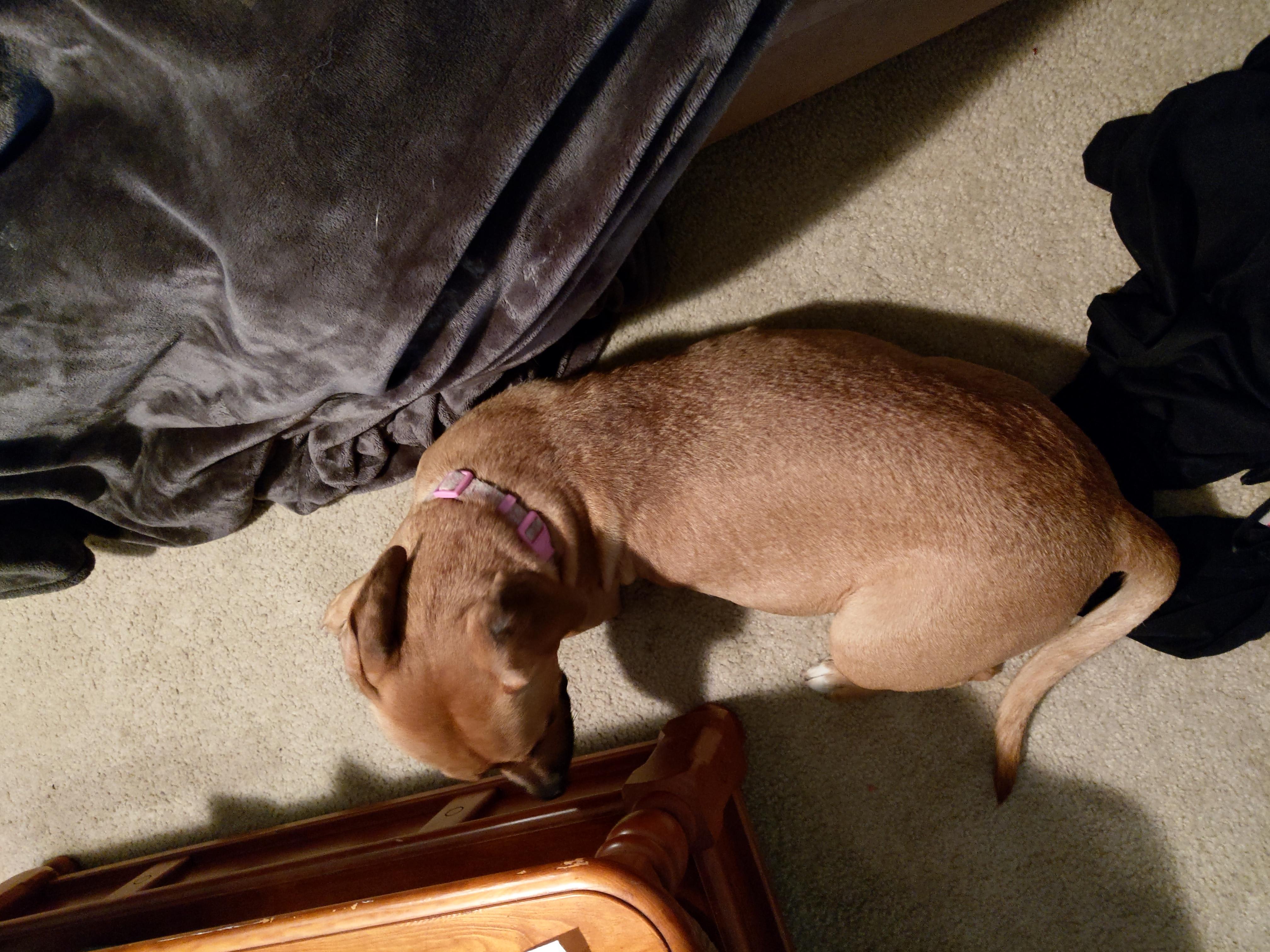 Question details sensitive content