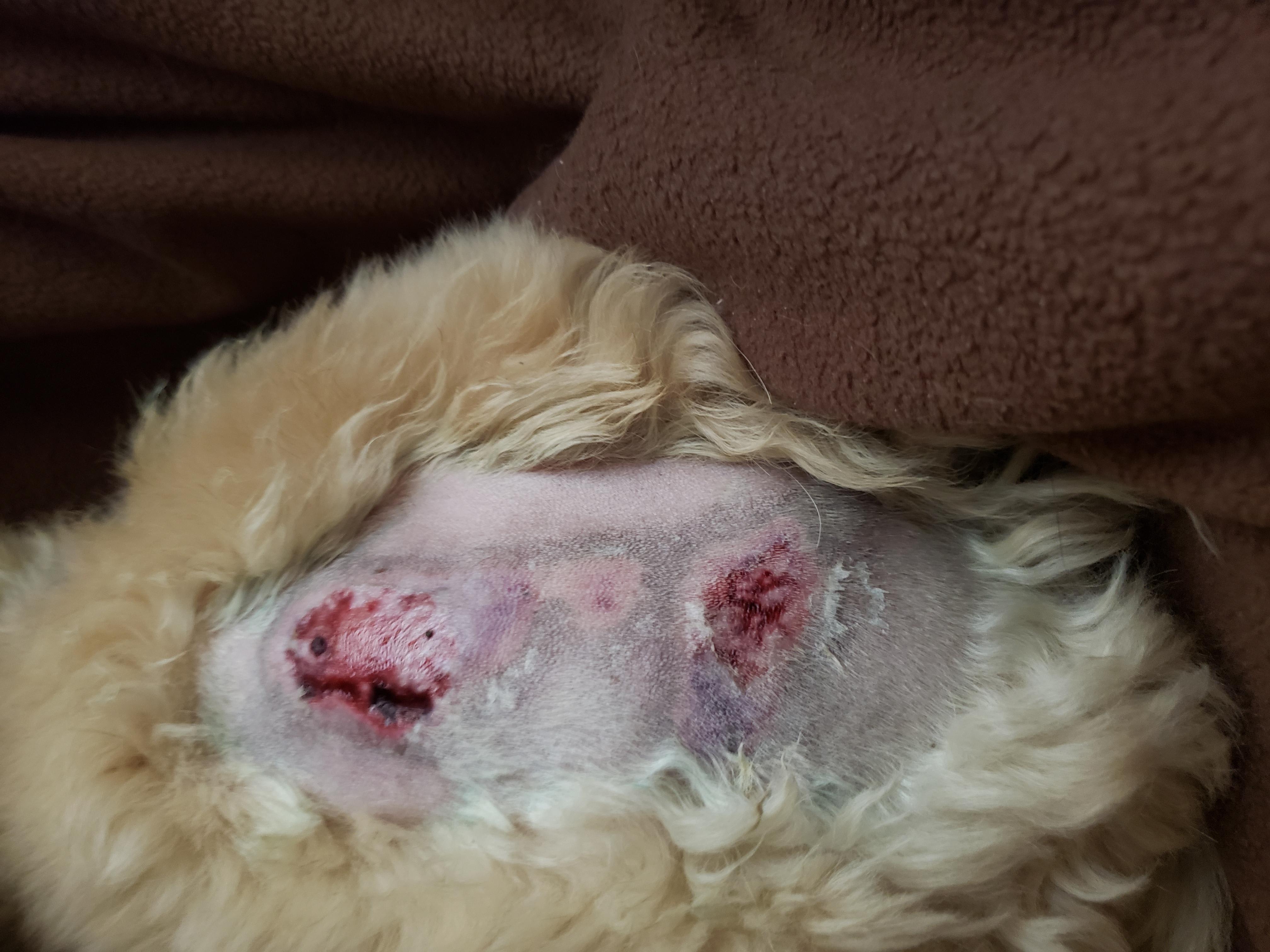 Question details sensitive content