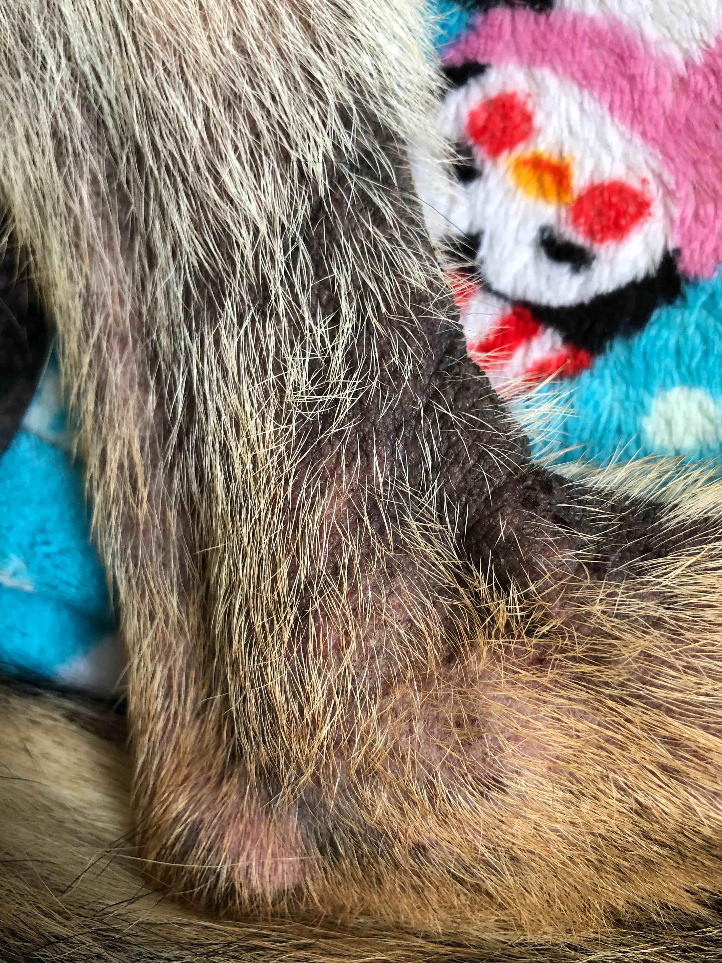 Question details sensitive content