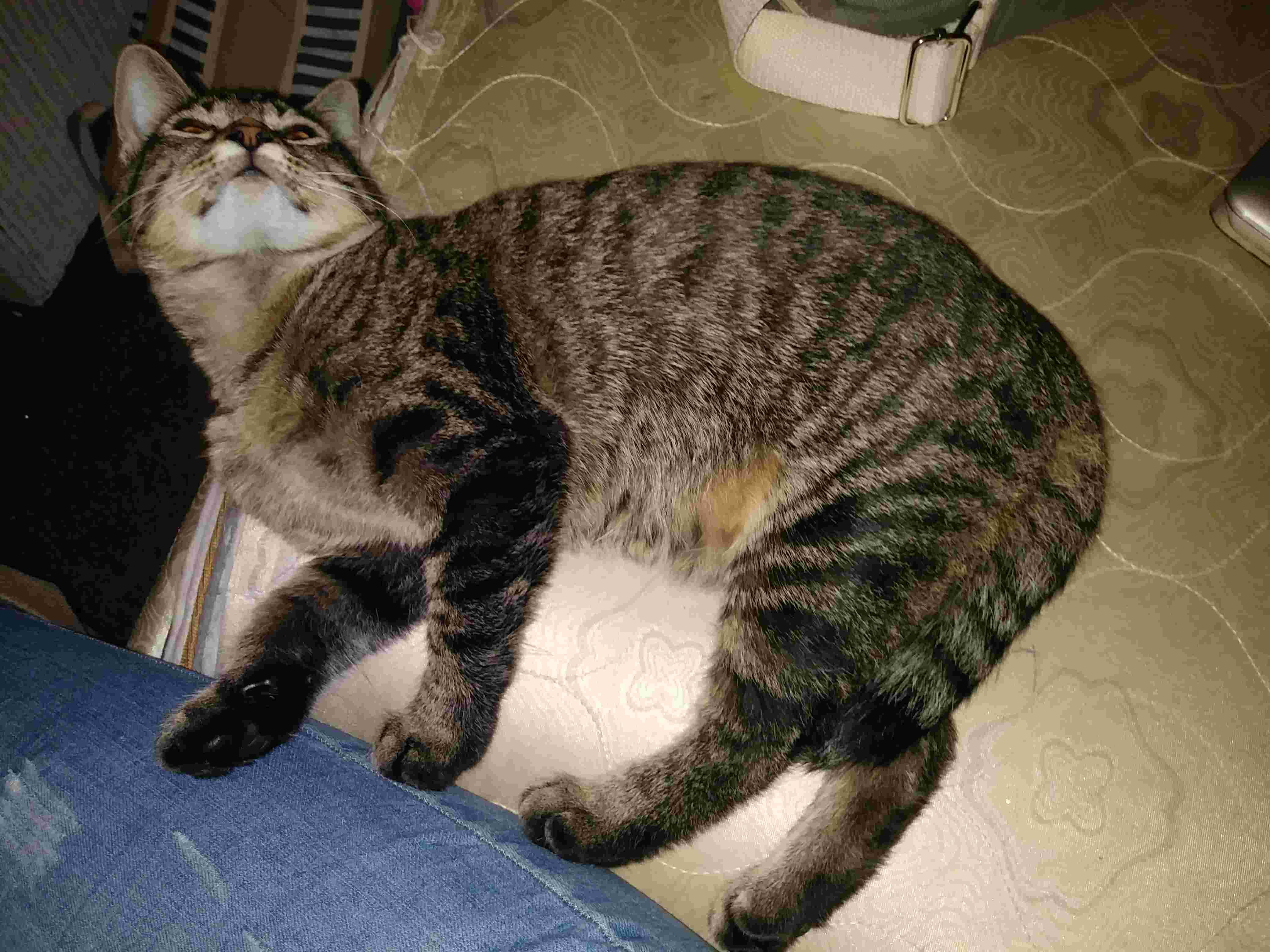 Question details sensitive content