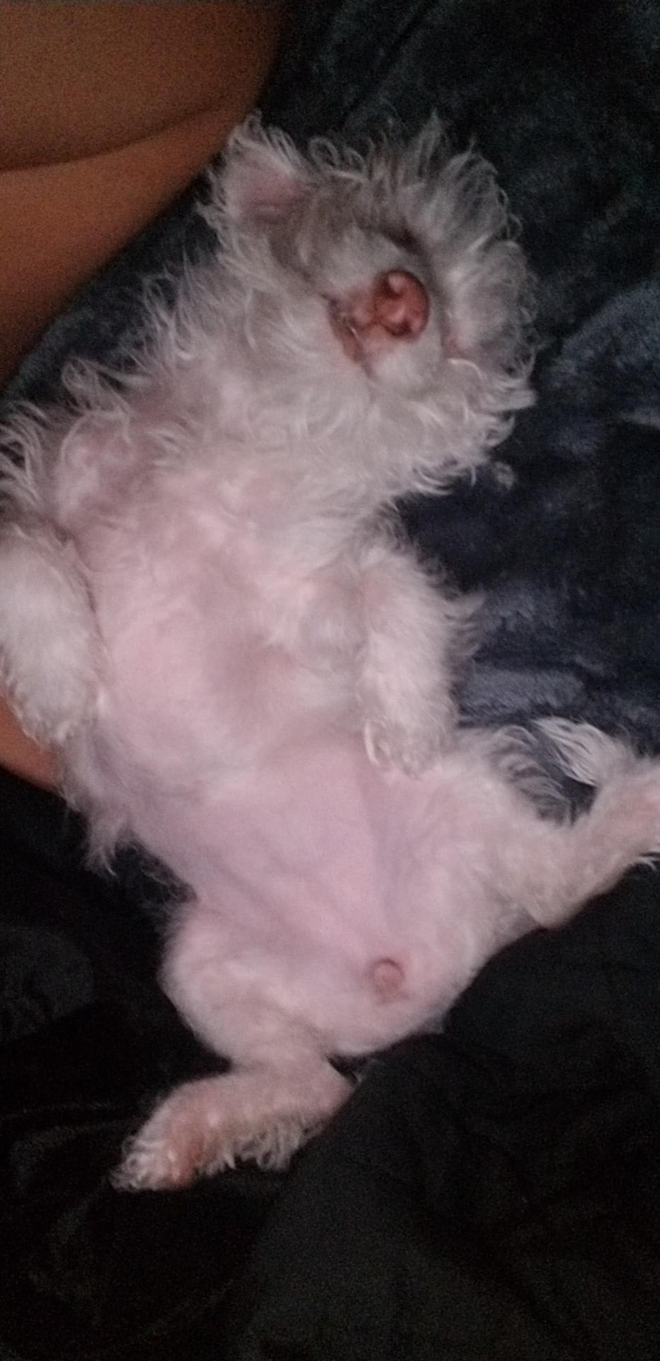 Question details sensitive content