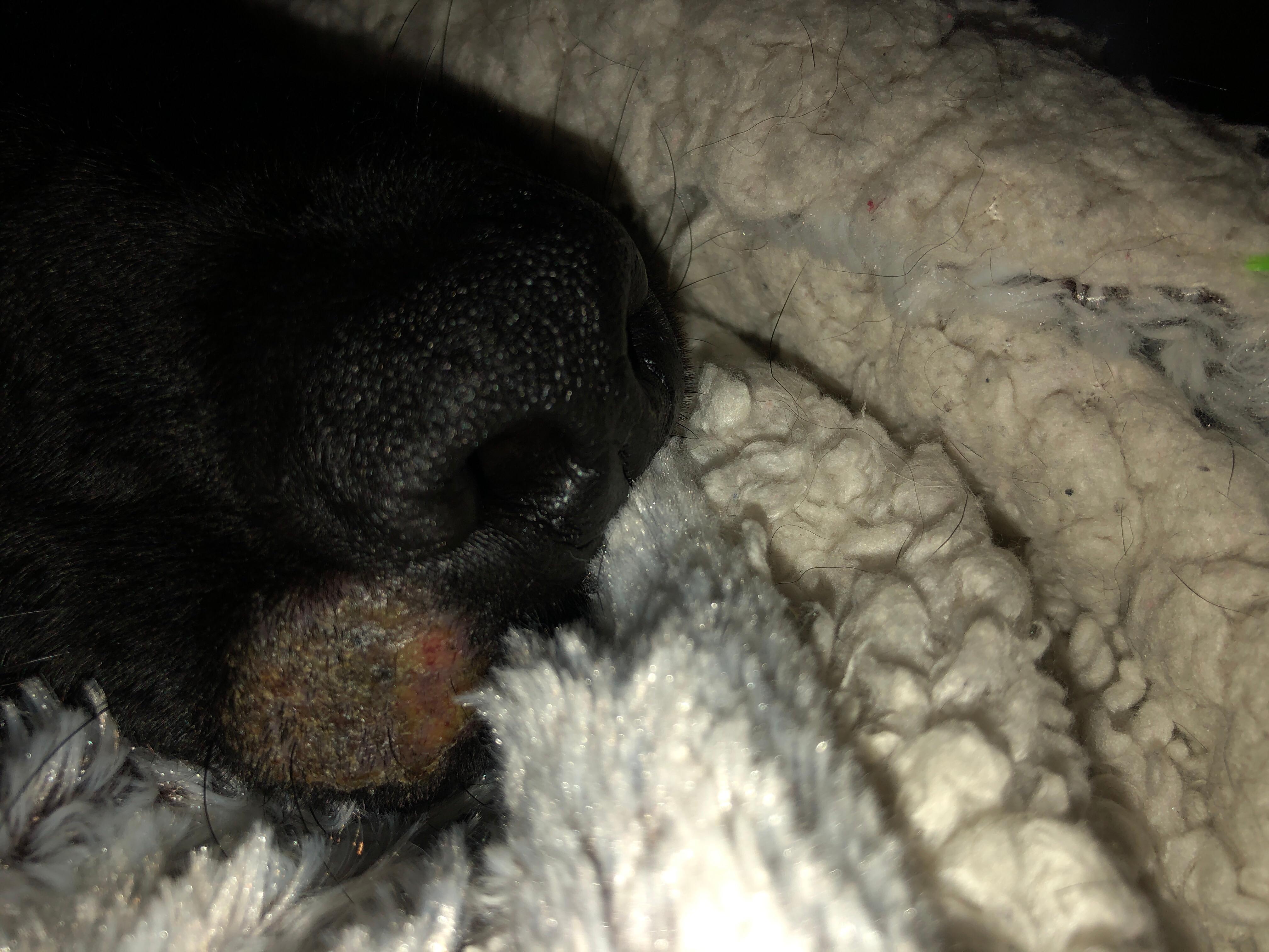 Question details sensitive content