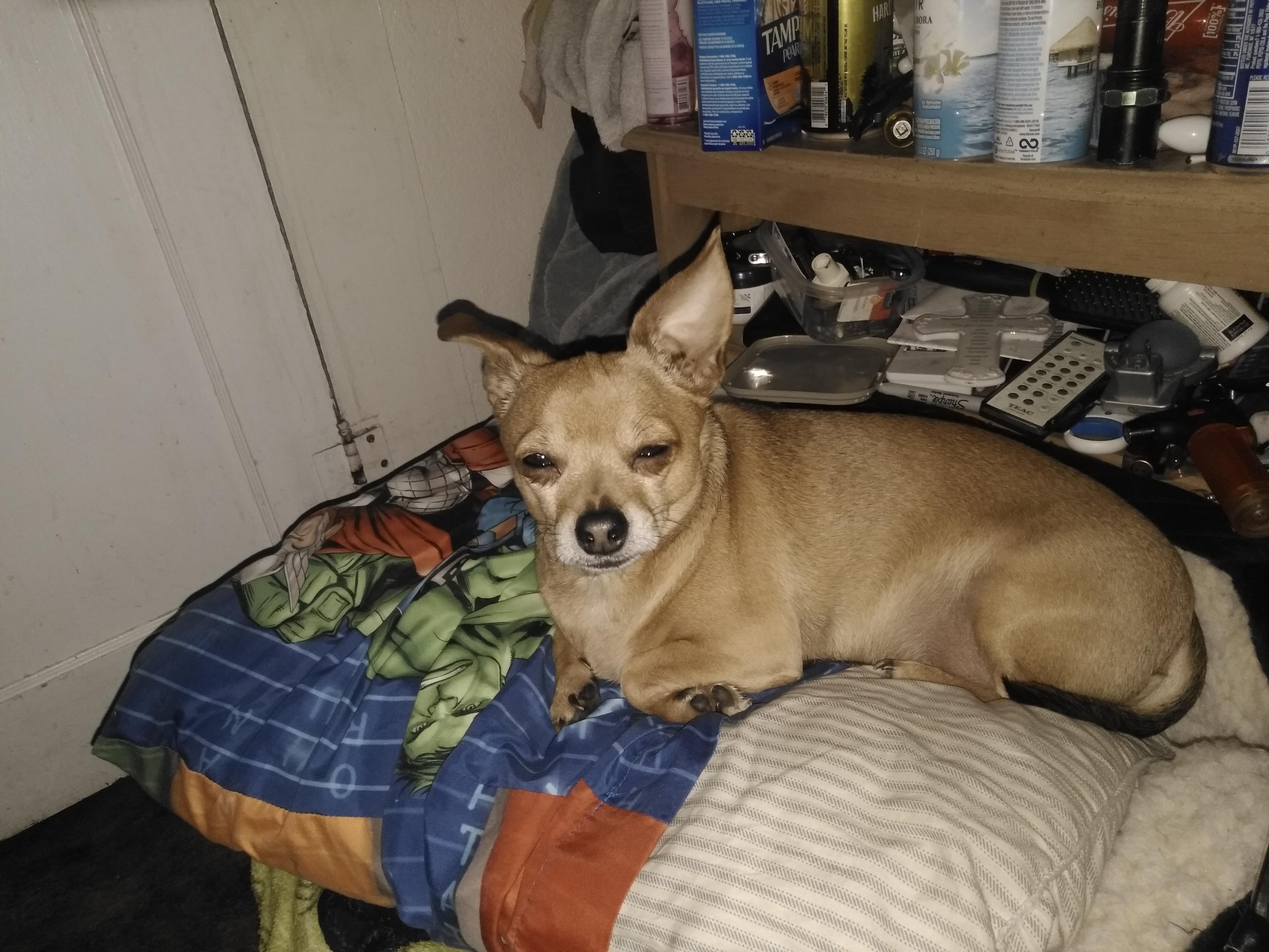 Question details sensitive content