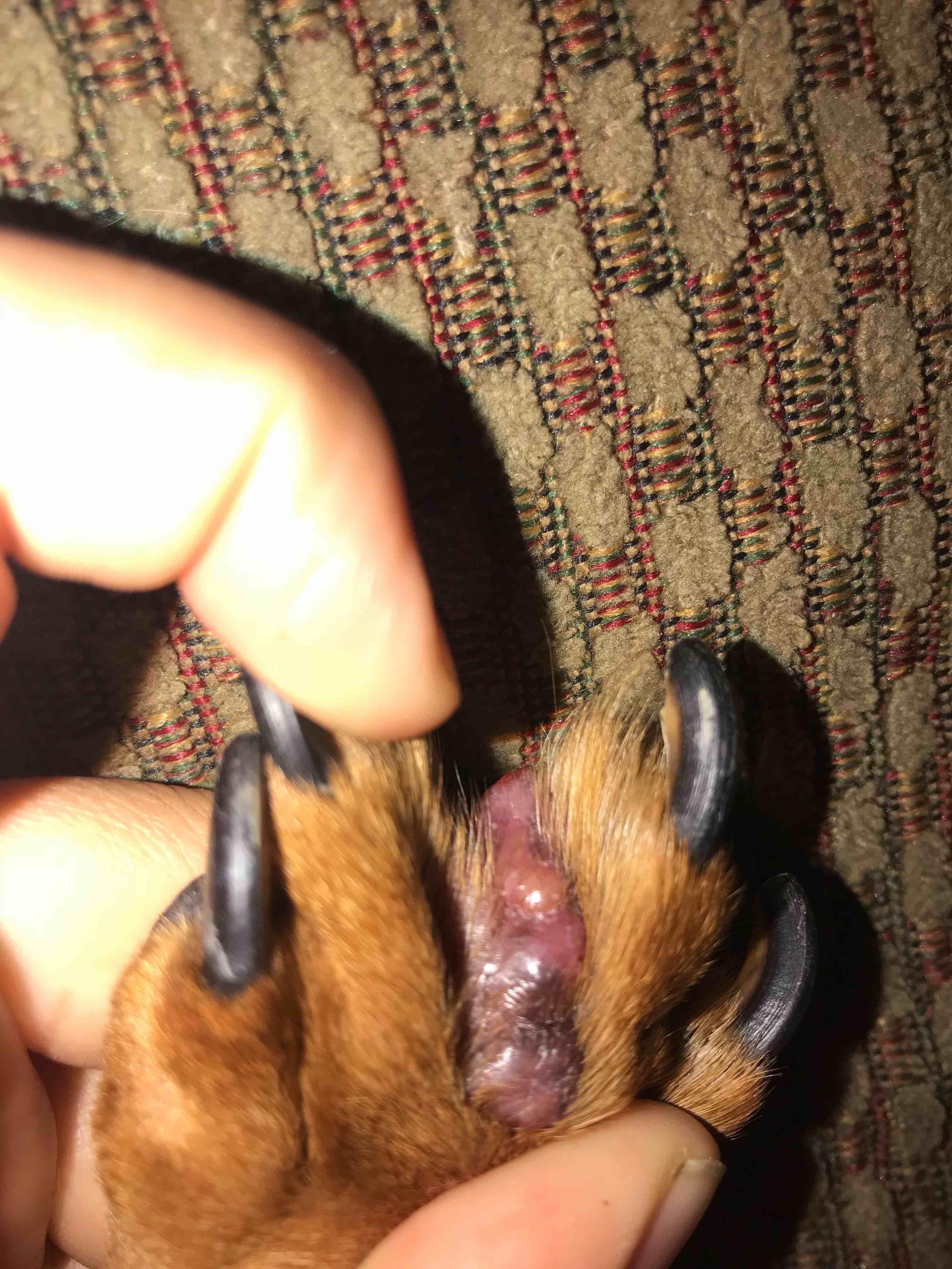 Question details sensitive content