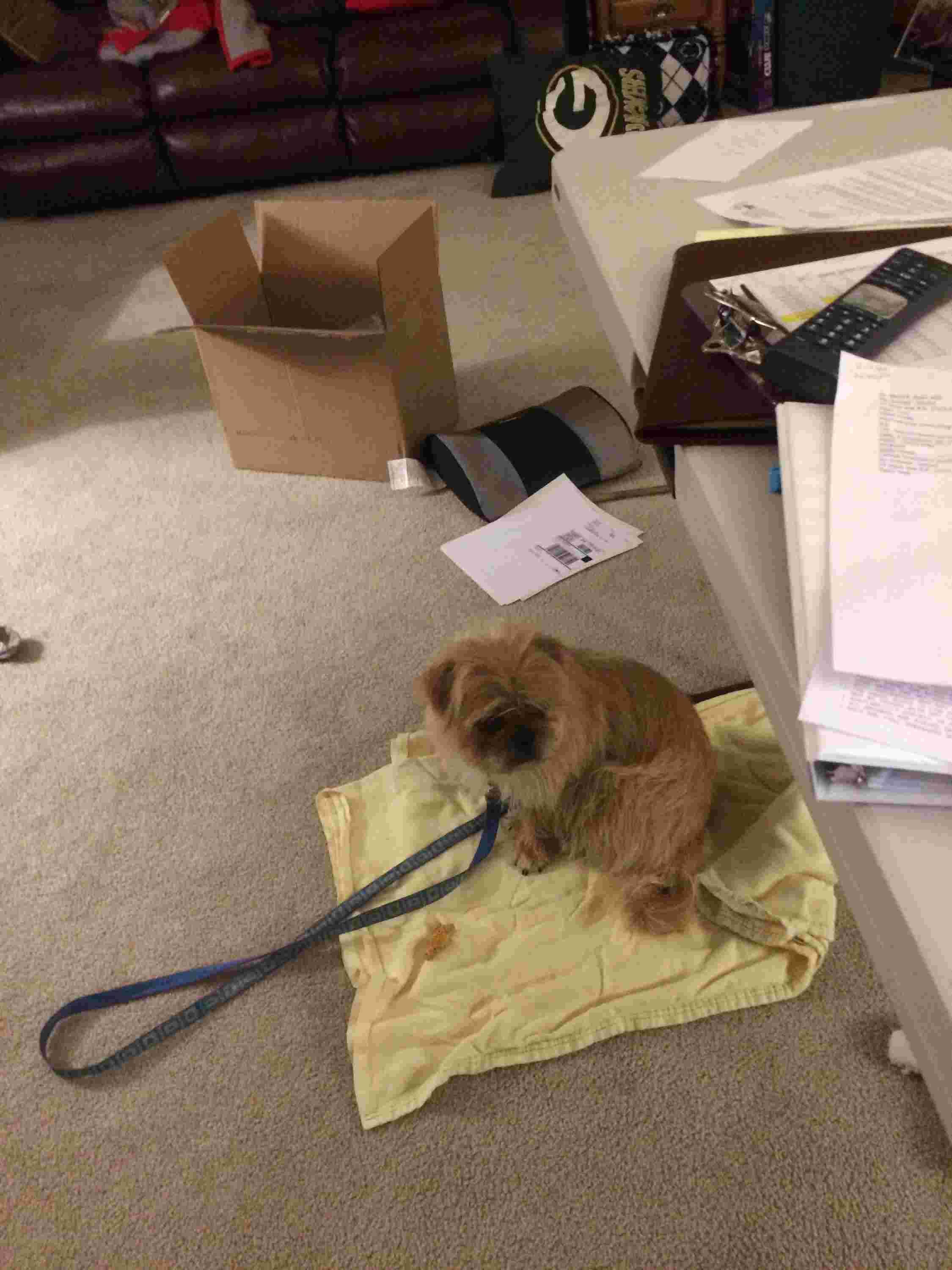 Question details sensitive content