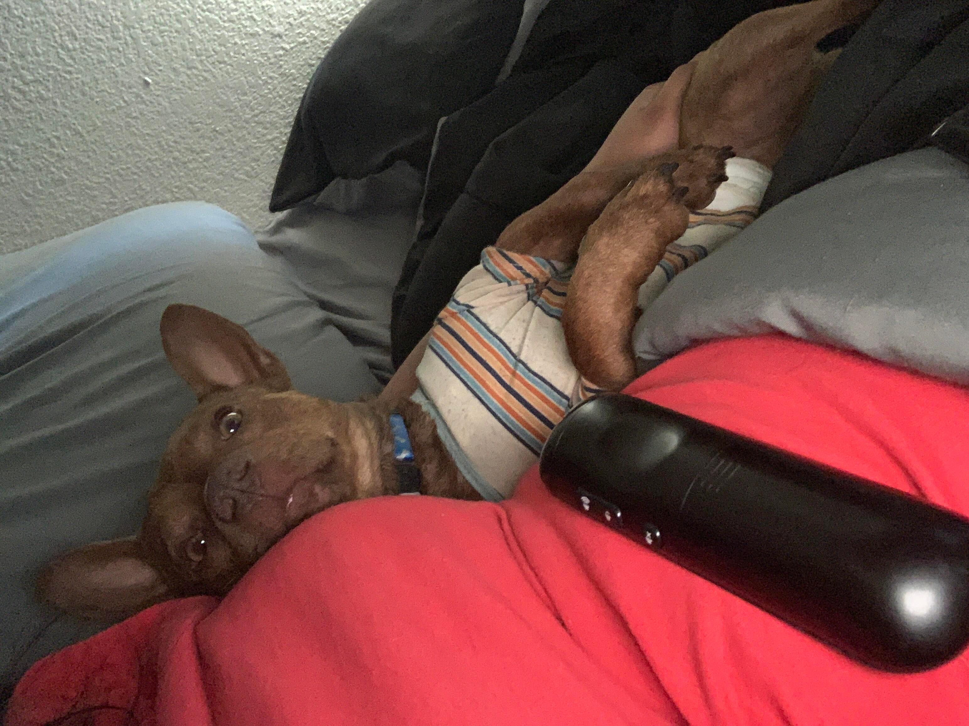 Question details sensitive content