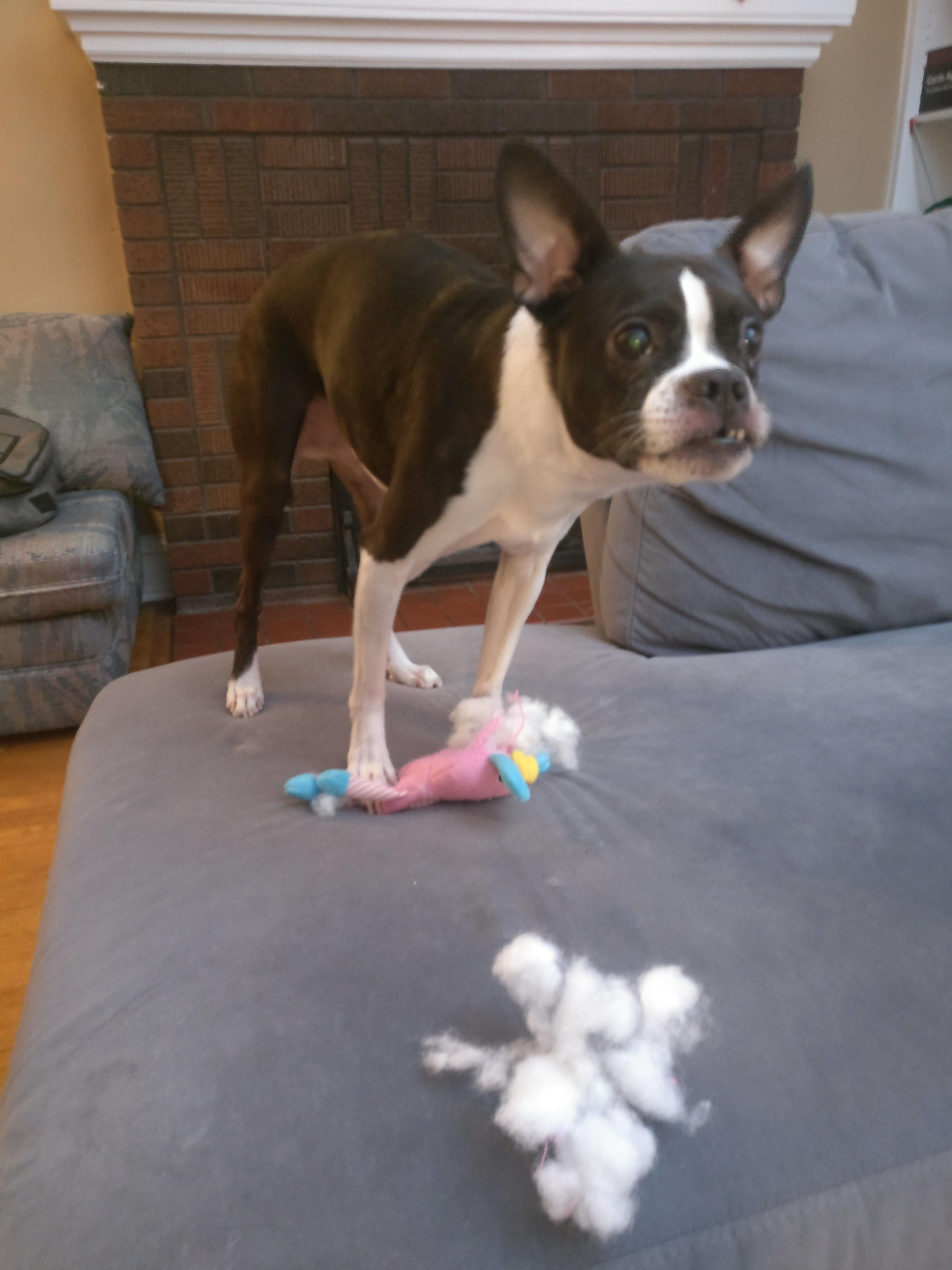 Question details sensitive content