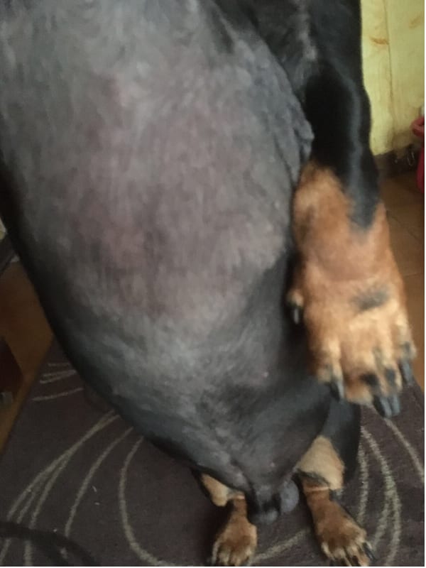 Question details sensitive content