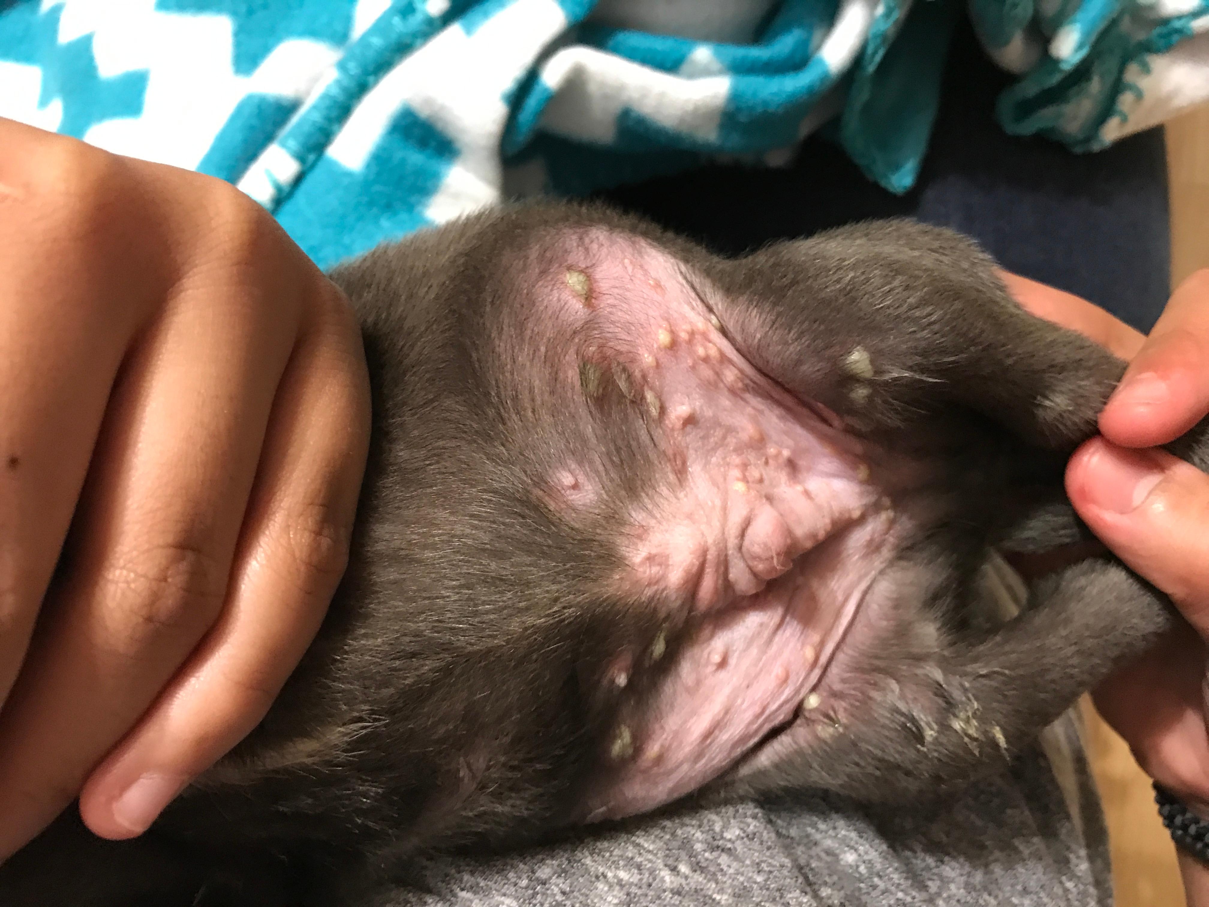 Question details sensitive content