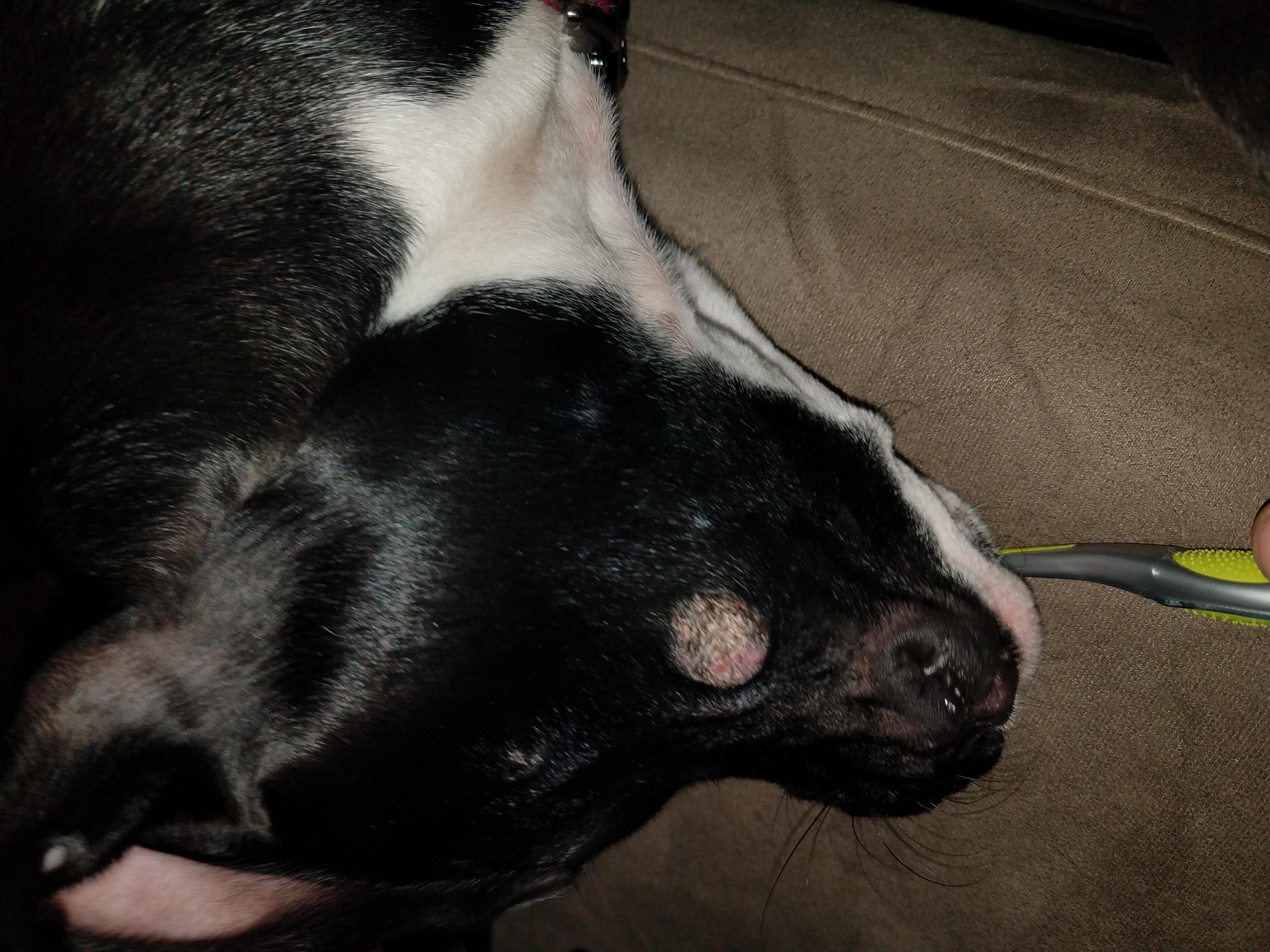 Question details sensitive content