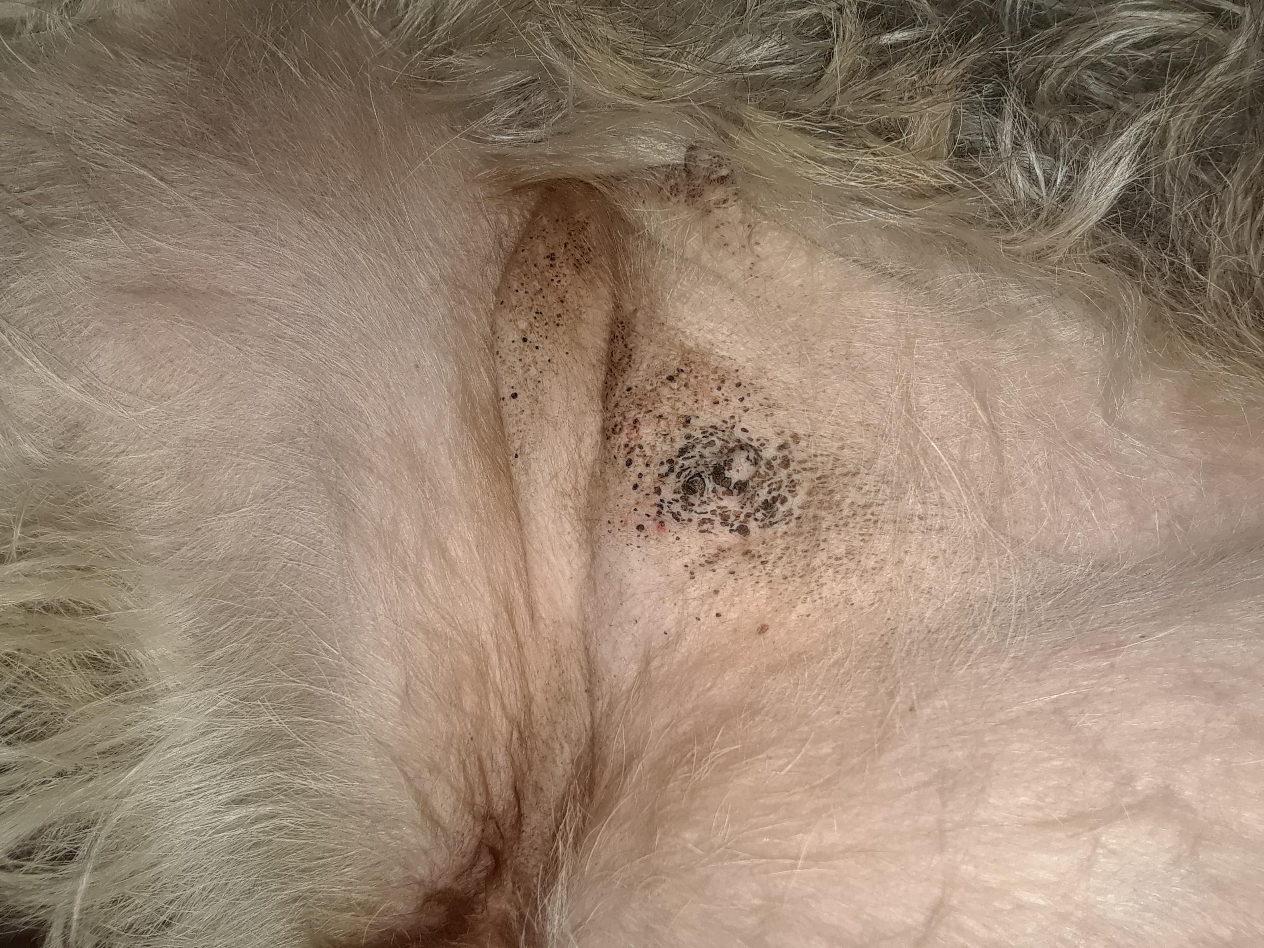 Question details sensitive content