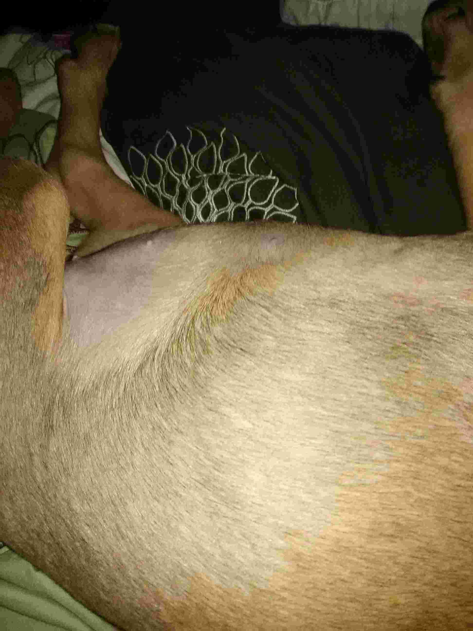 Question details sensitive content