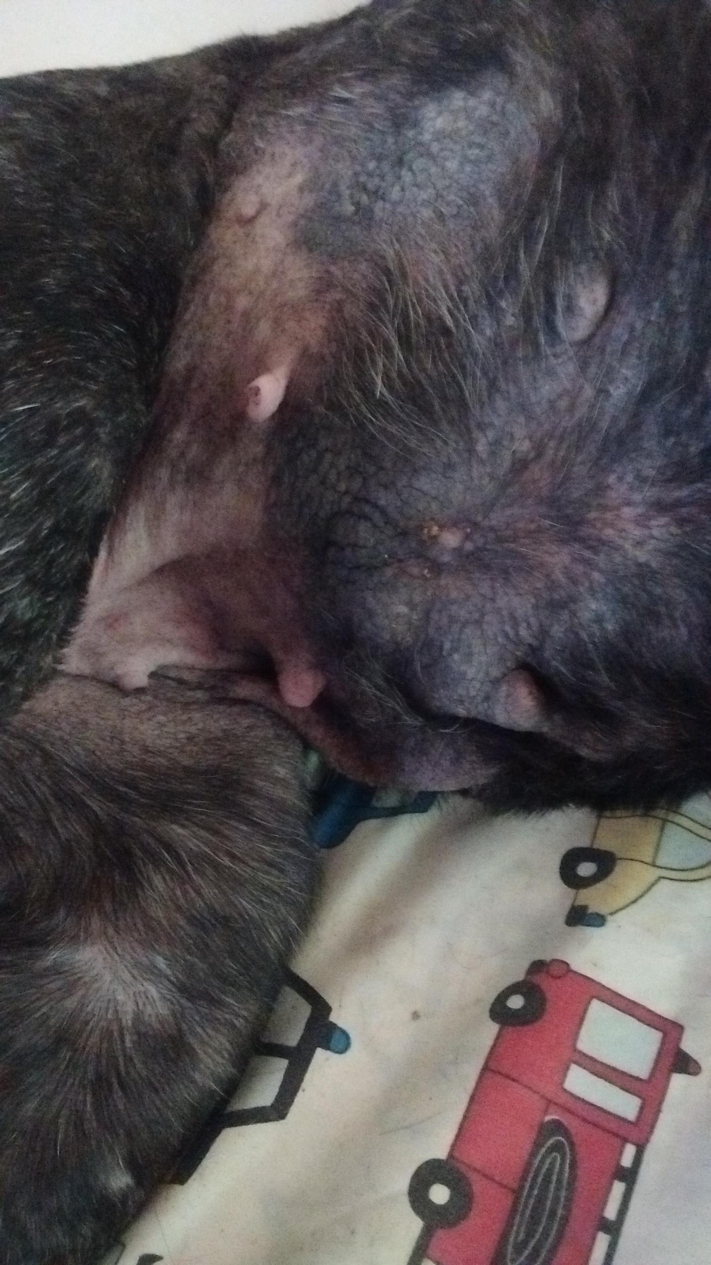 Question details sensitive content